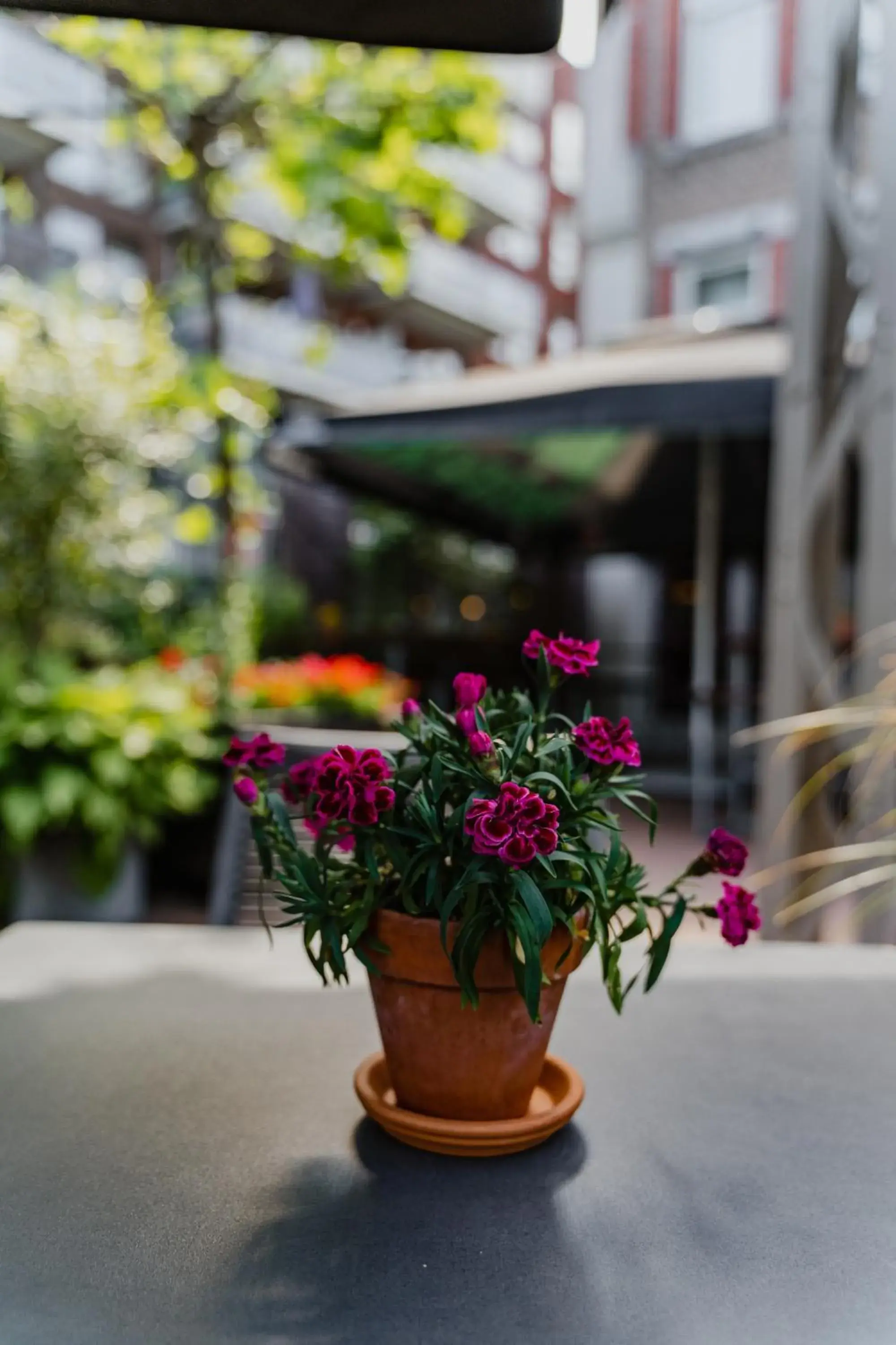 Restaurant/places to eat in Hotel De Hallen Restaurant/places to eat in Hotel De Hallen