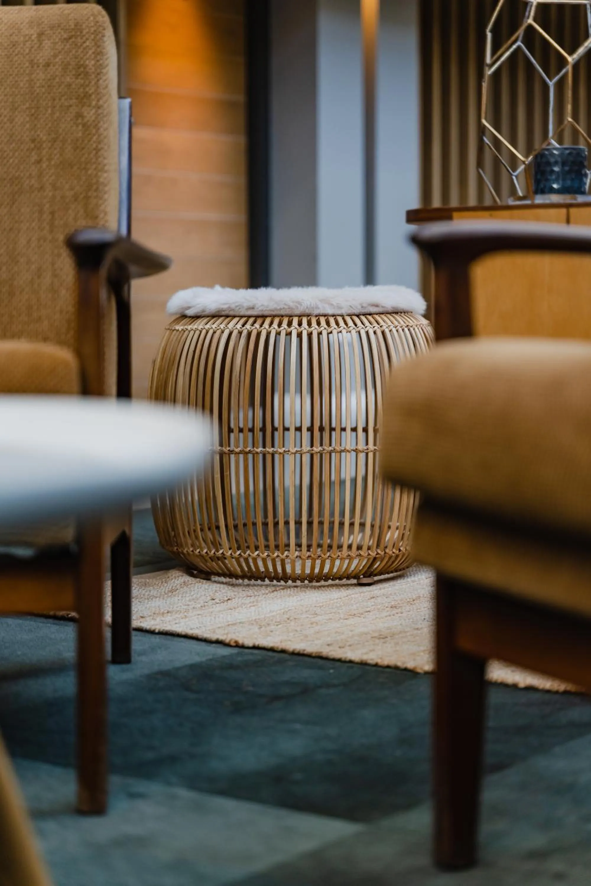 Communal lounge/ TV room in Hotel De Hallen