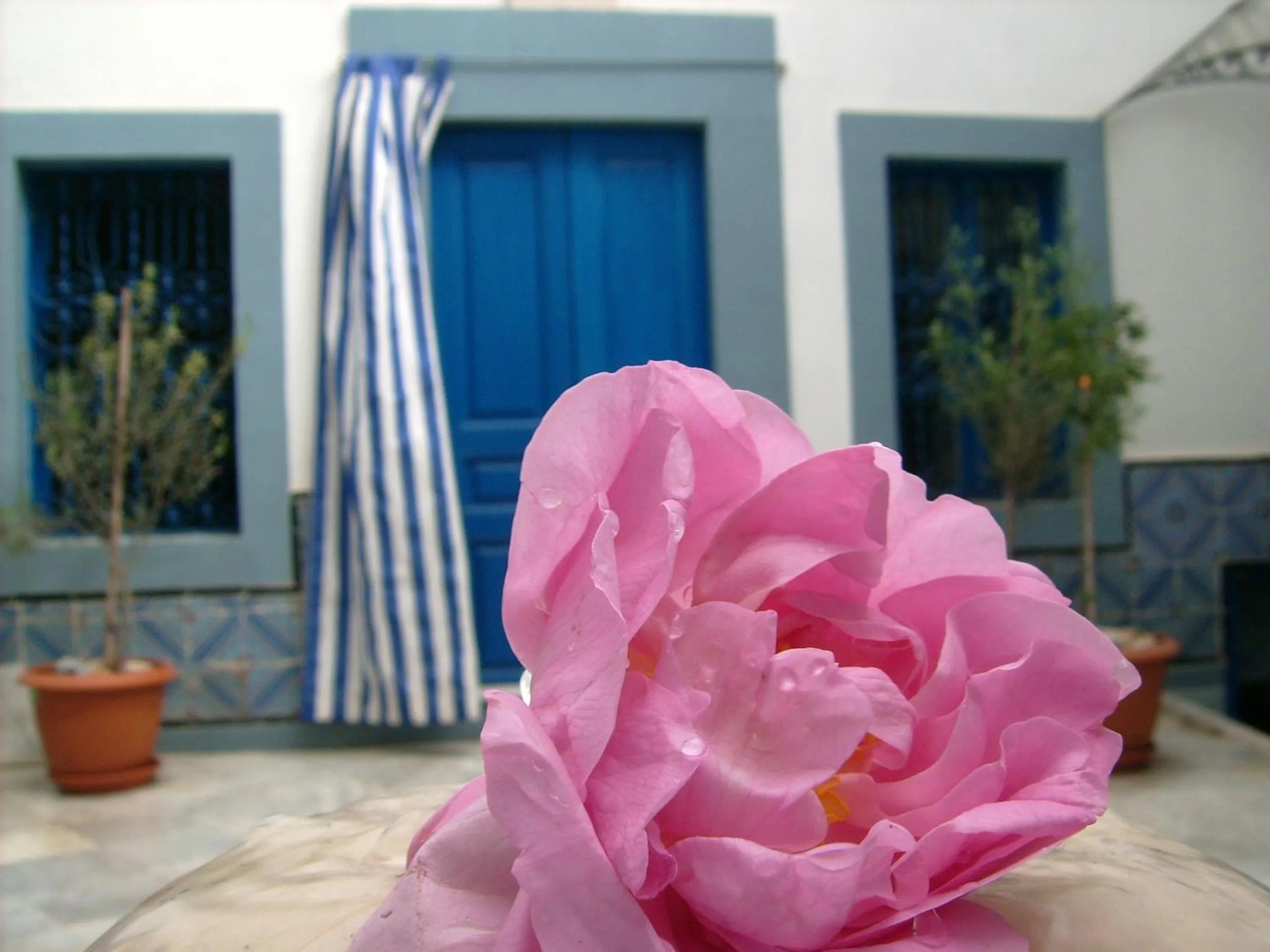 Decorative detail in Dar Baaziz