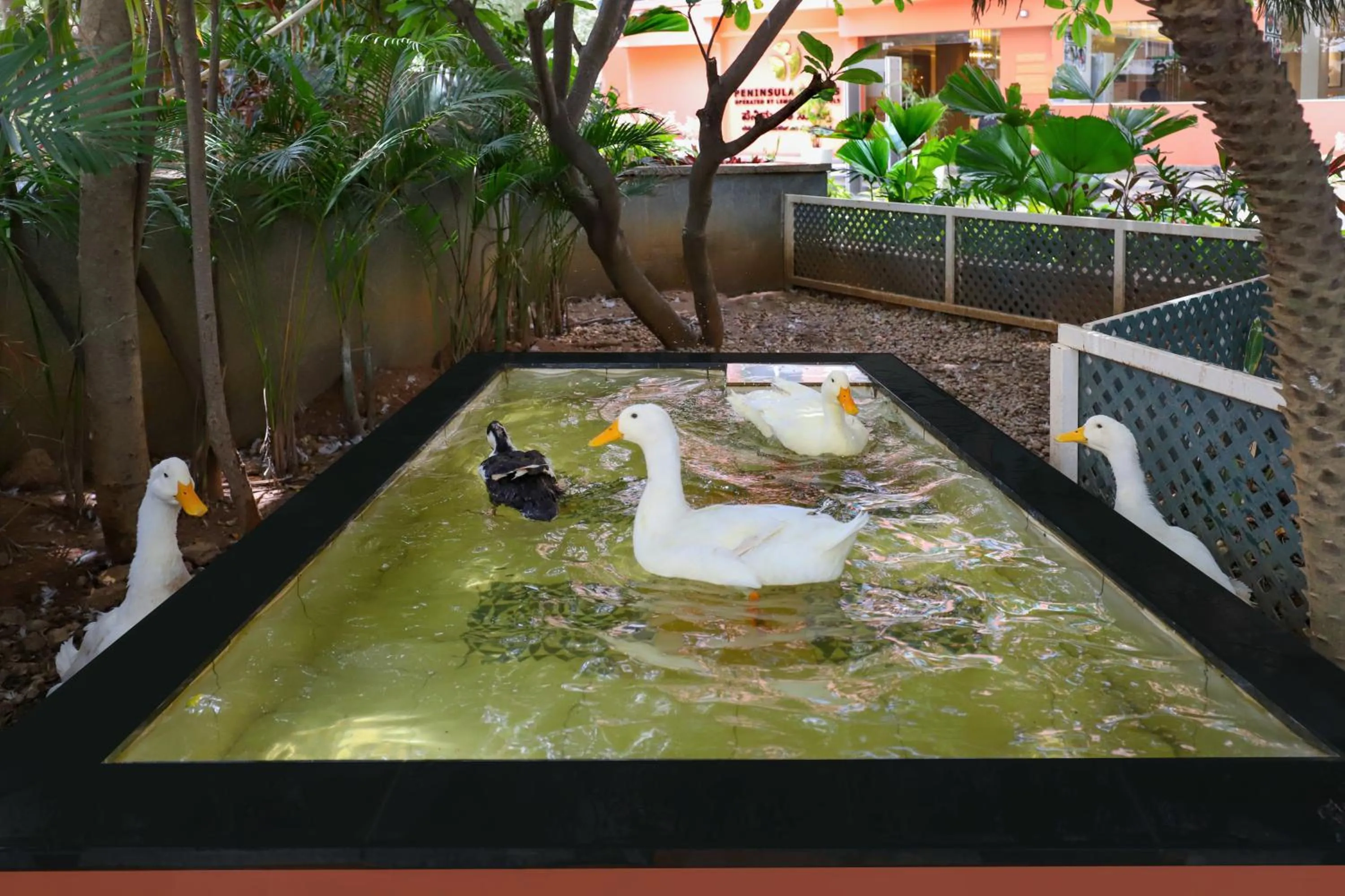 Natural landscape in Lemon Tree Suites, Whitefield, Bengaluru