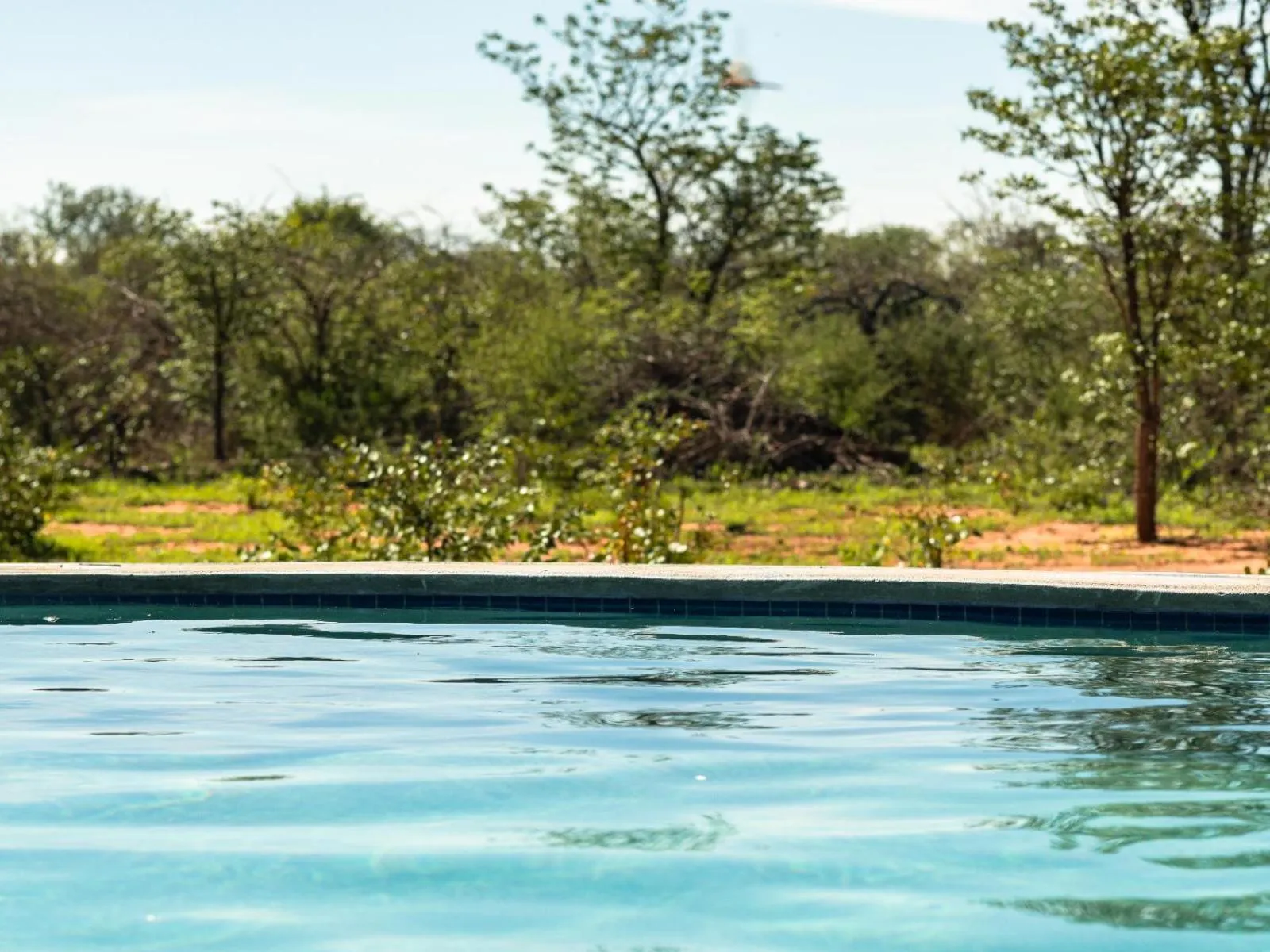 Pool view in Kifaru Bush camp