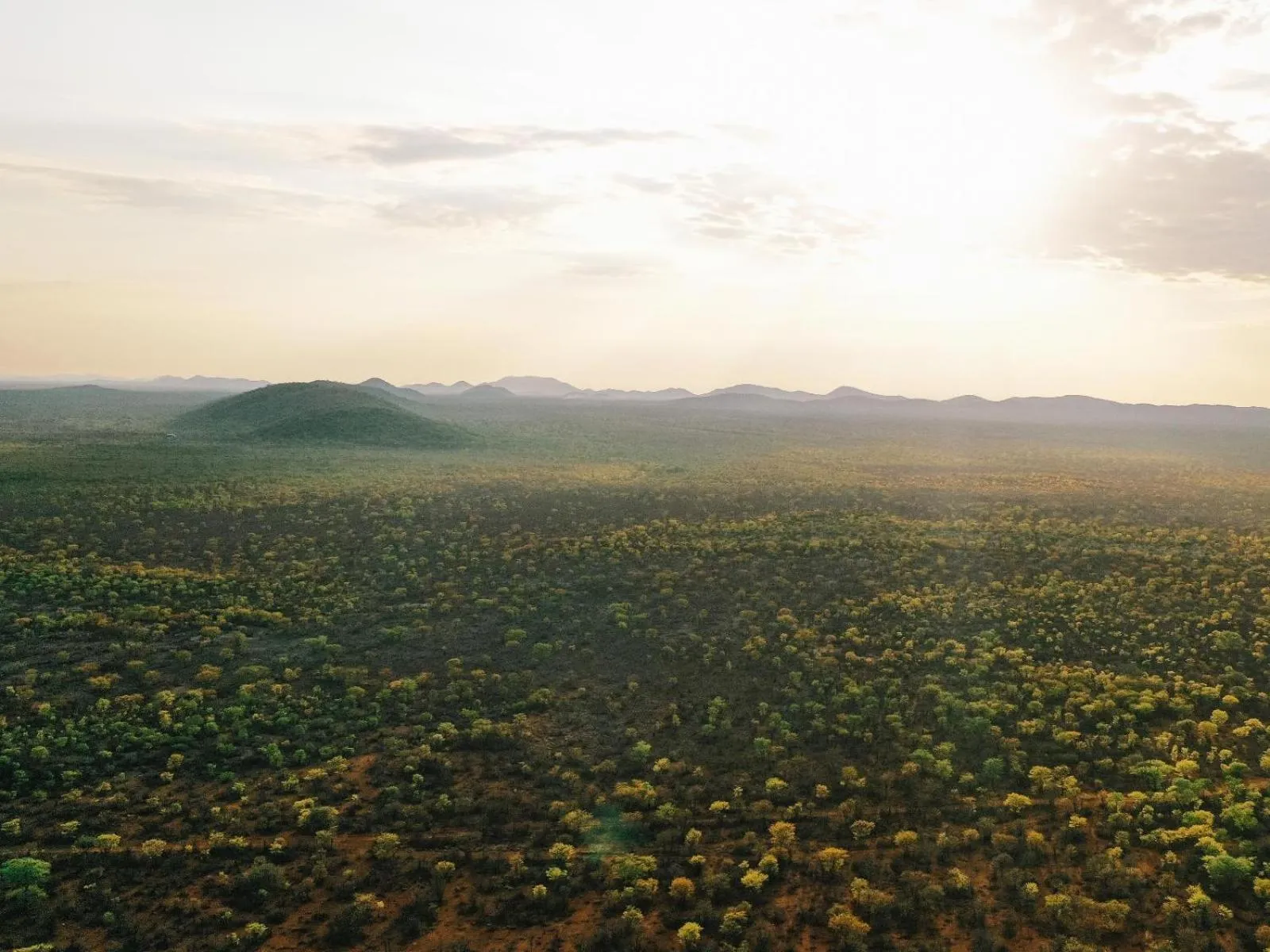 Natural landscape in Kifaru Bush camp