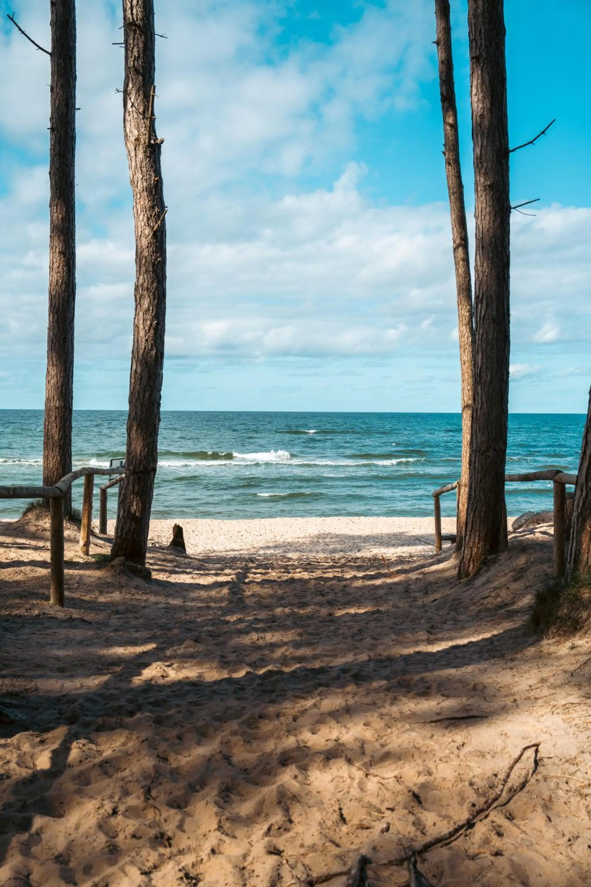 Nearby landmark in Hotel ARCHE Fabryka Samolotów w Mielnie
