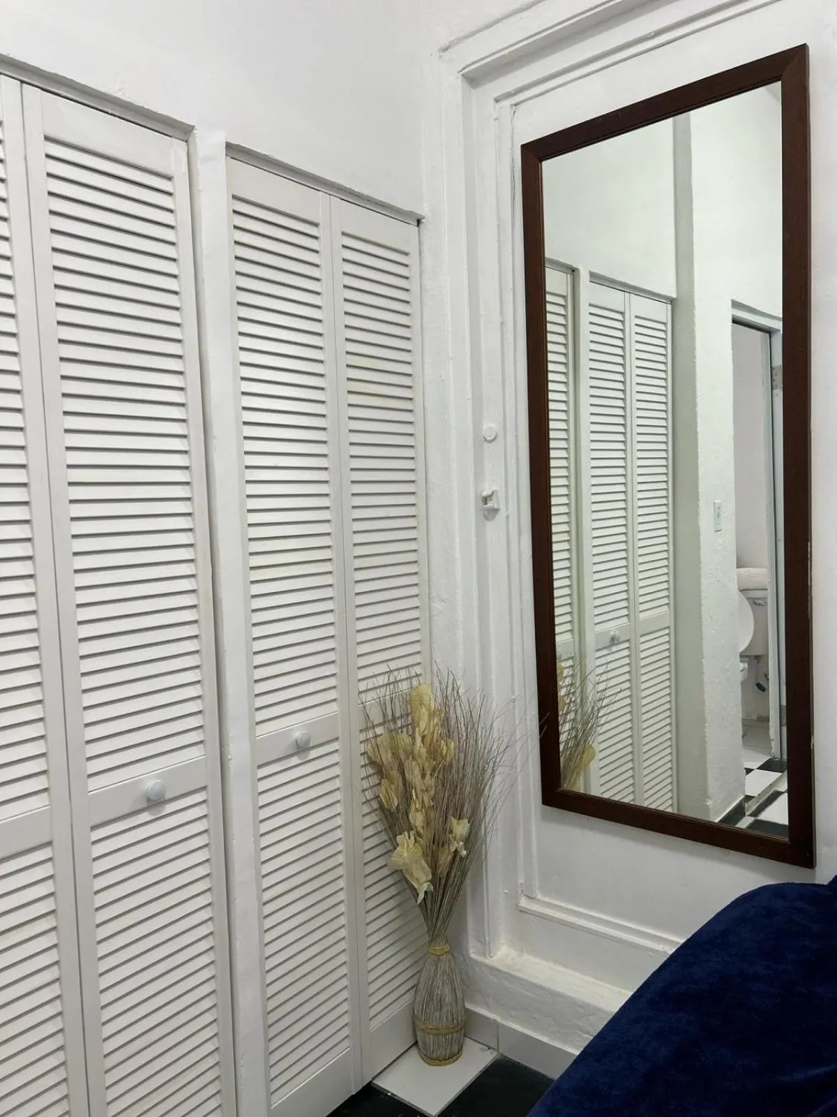 wardrobe in Janer House at San Juan