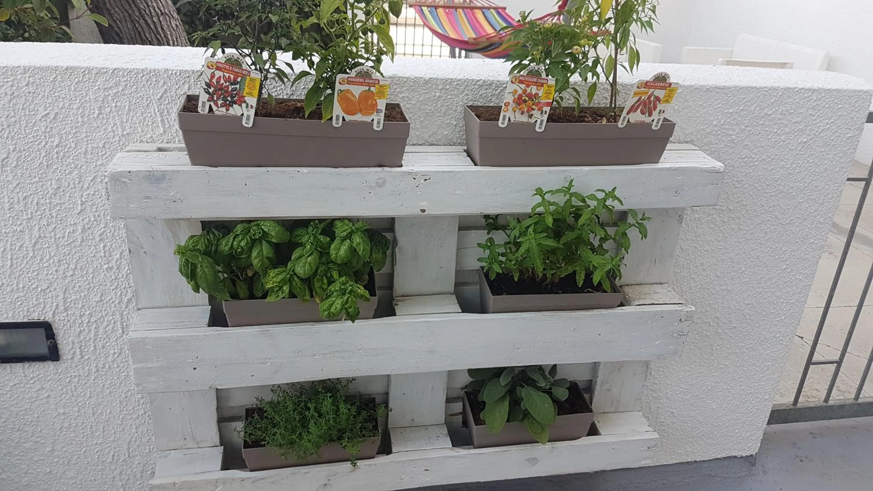 Garden in Residence Orsa Minore