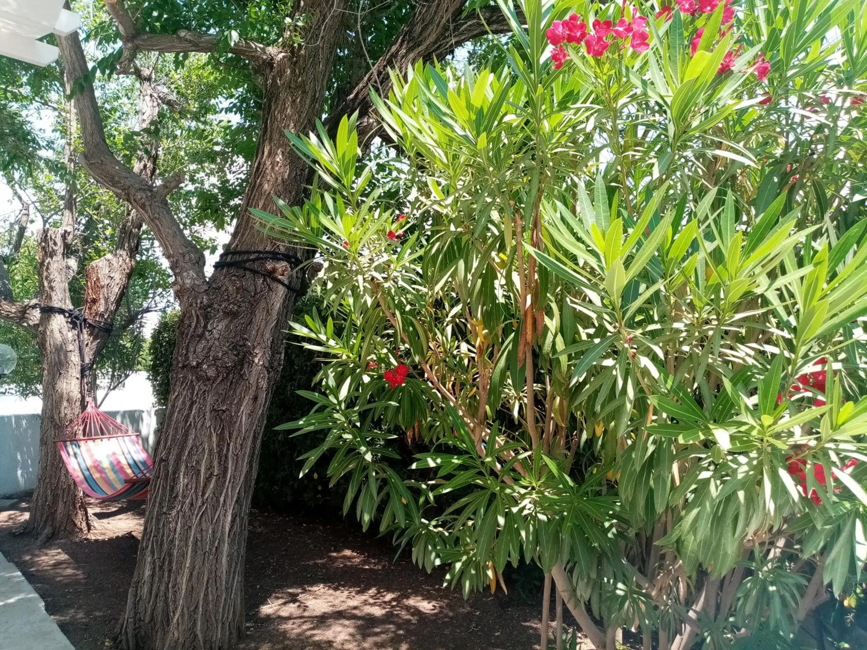Garden in Residence Orsa Minore