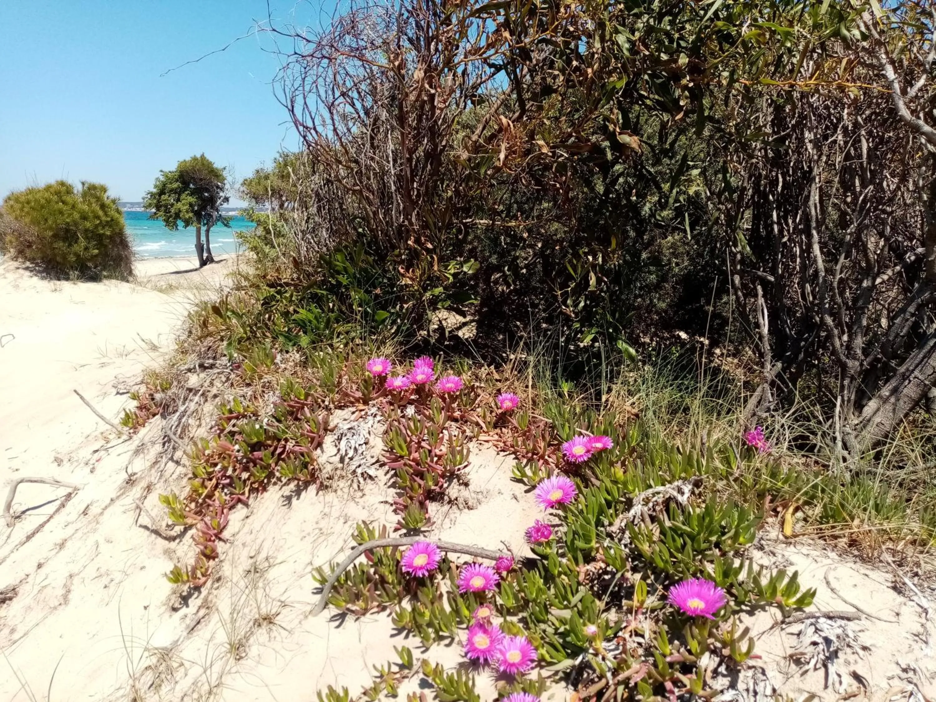 Beach in Residence Orsa Minore