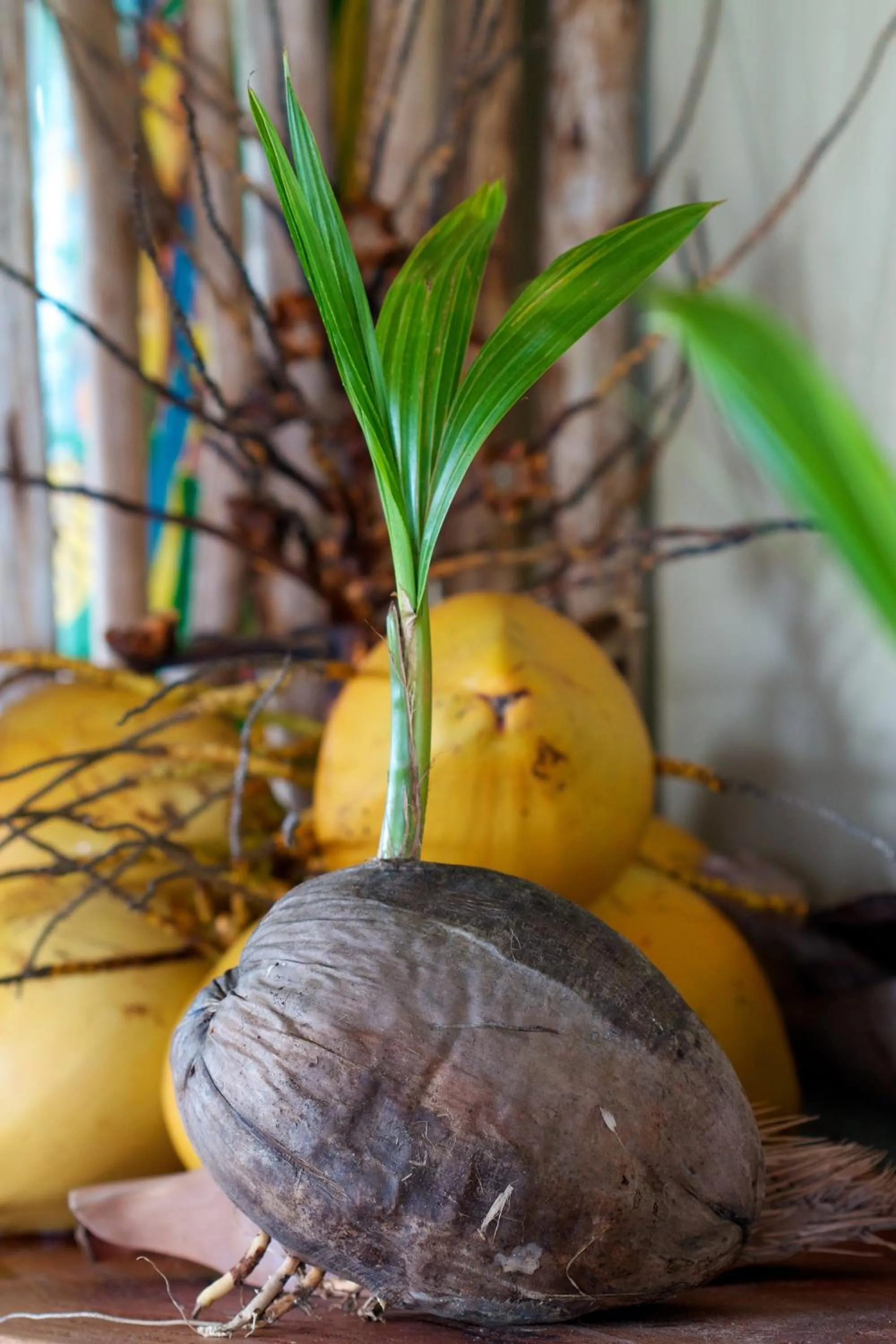 Decorative detail in Valmer Resort and Spa