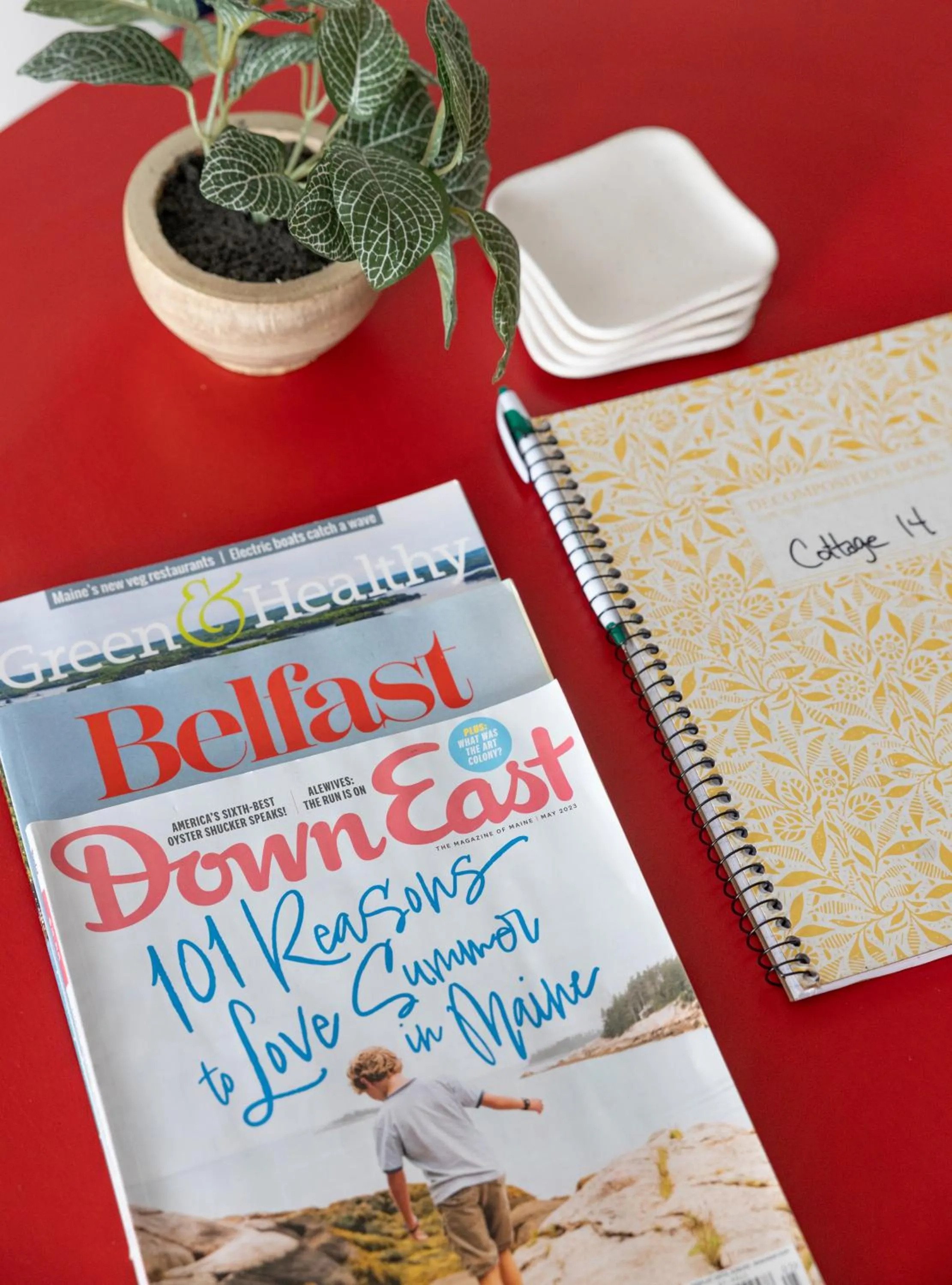 Seascape Motel & Cottages