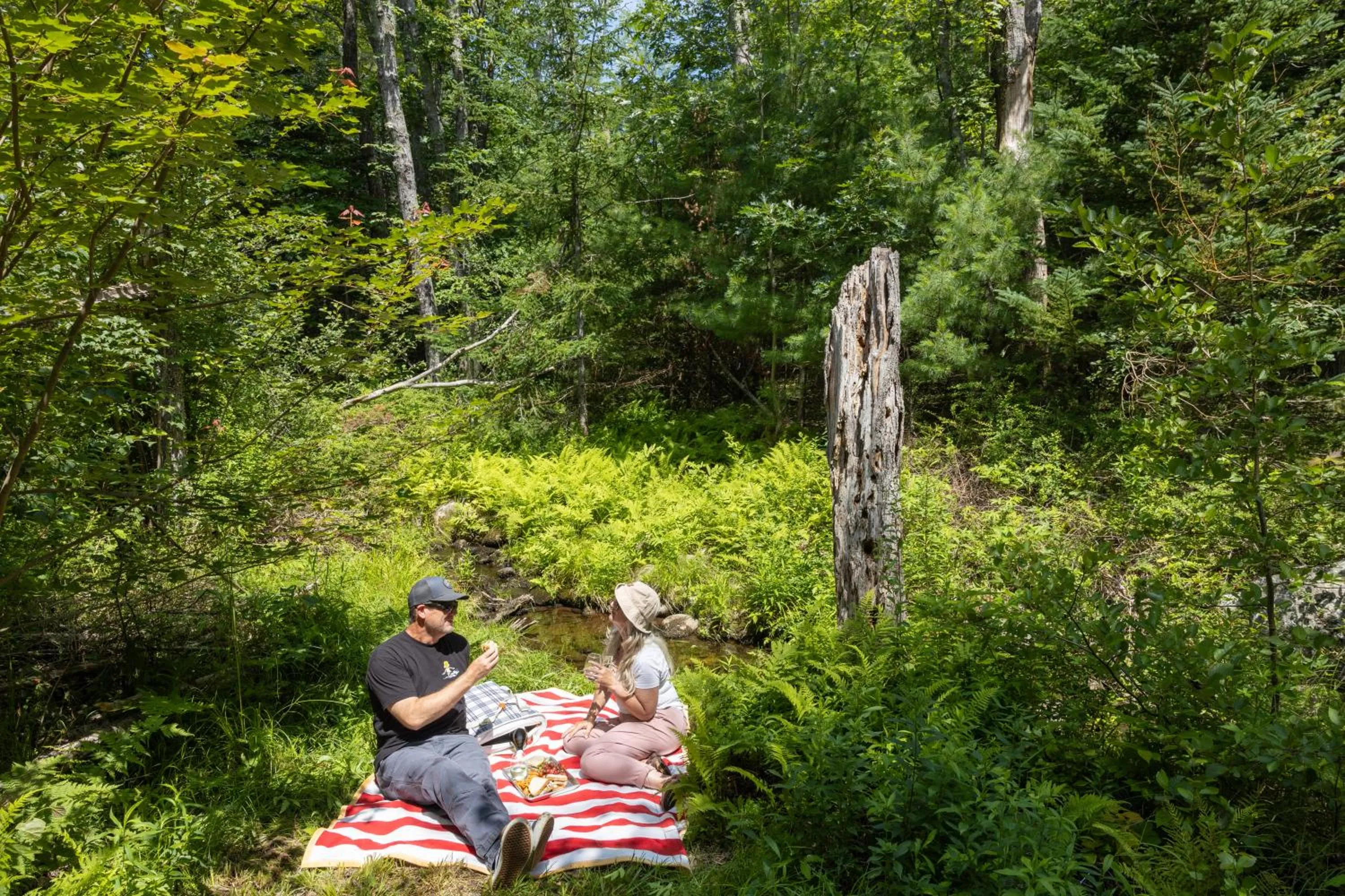 Seascape Motel & Cottages