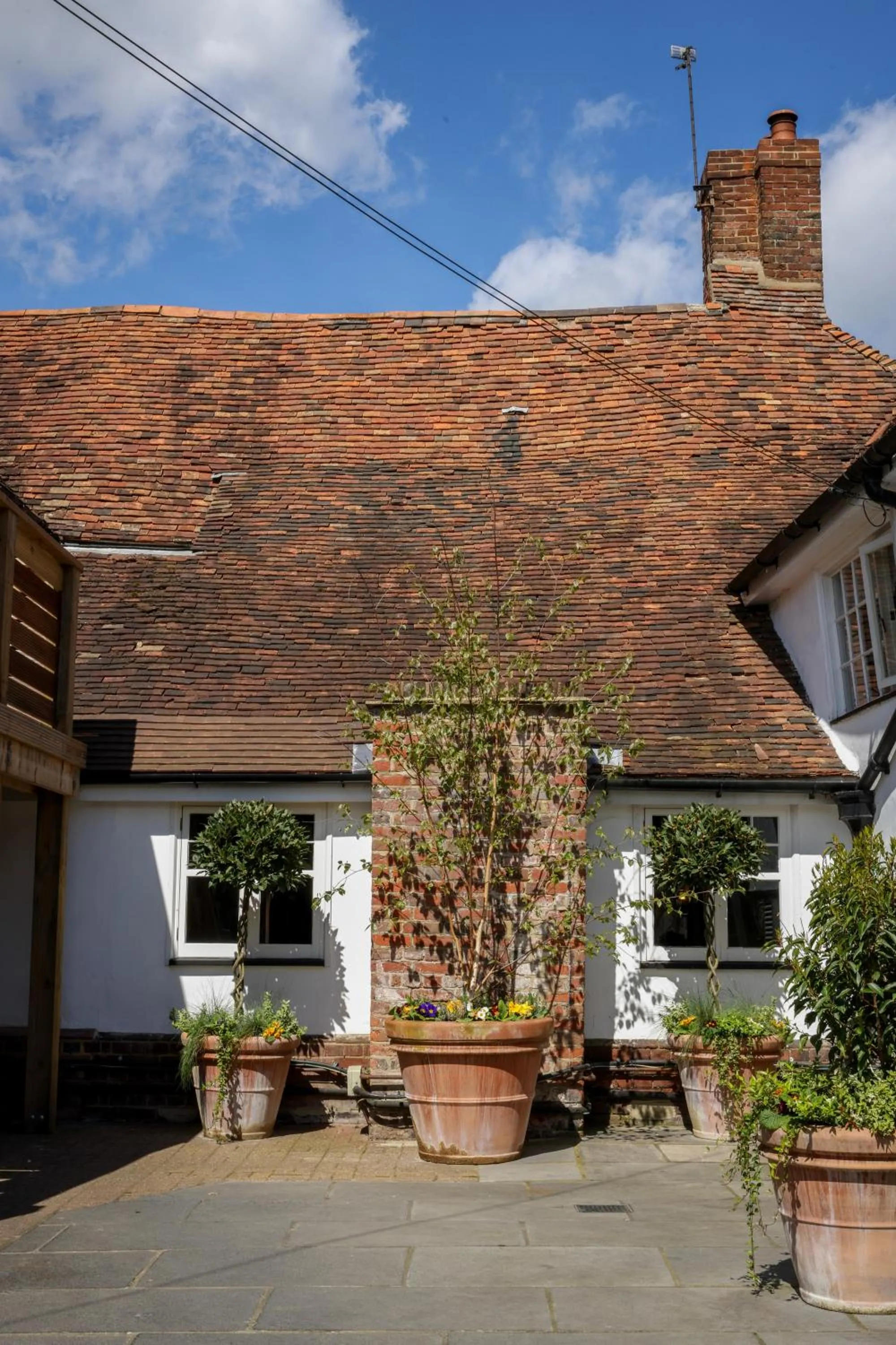 Garden in The Windmill