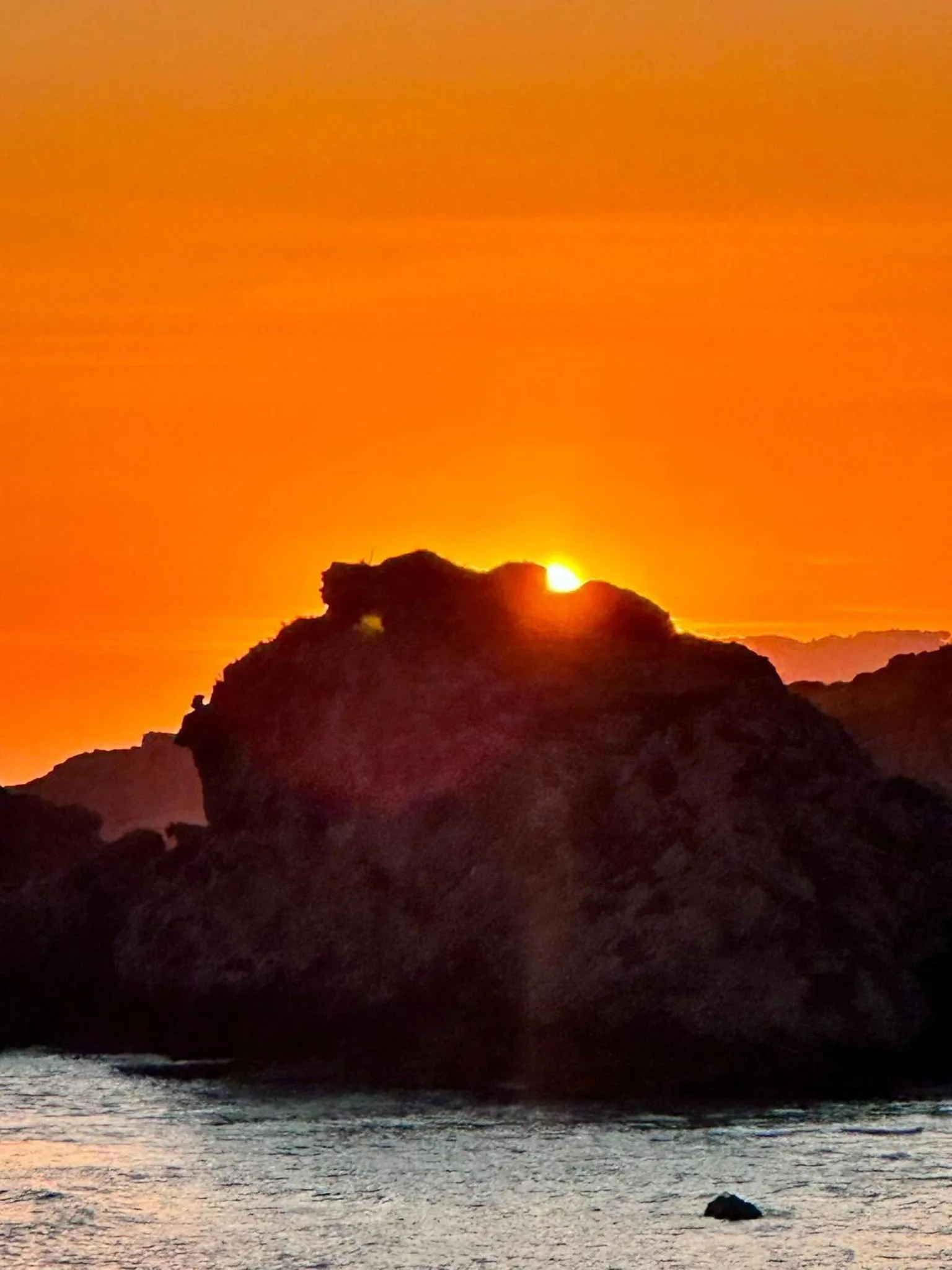 Alba Chiara Licata