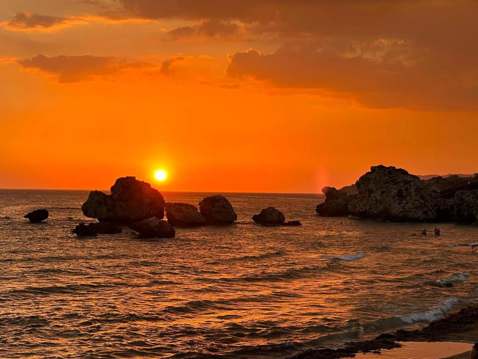 Alba Chiara Licata