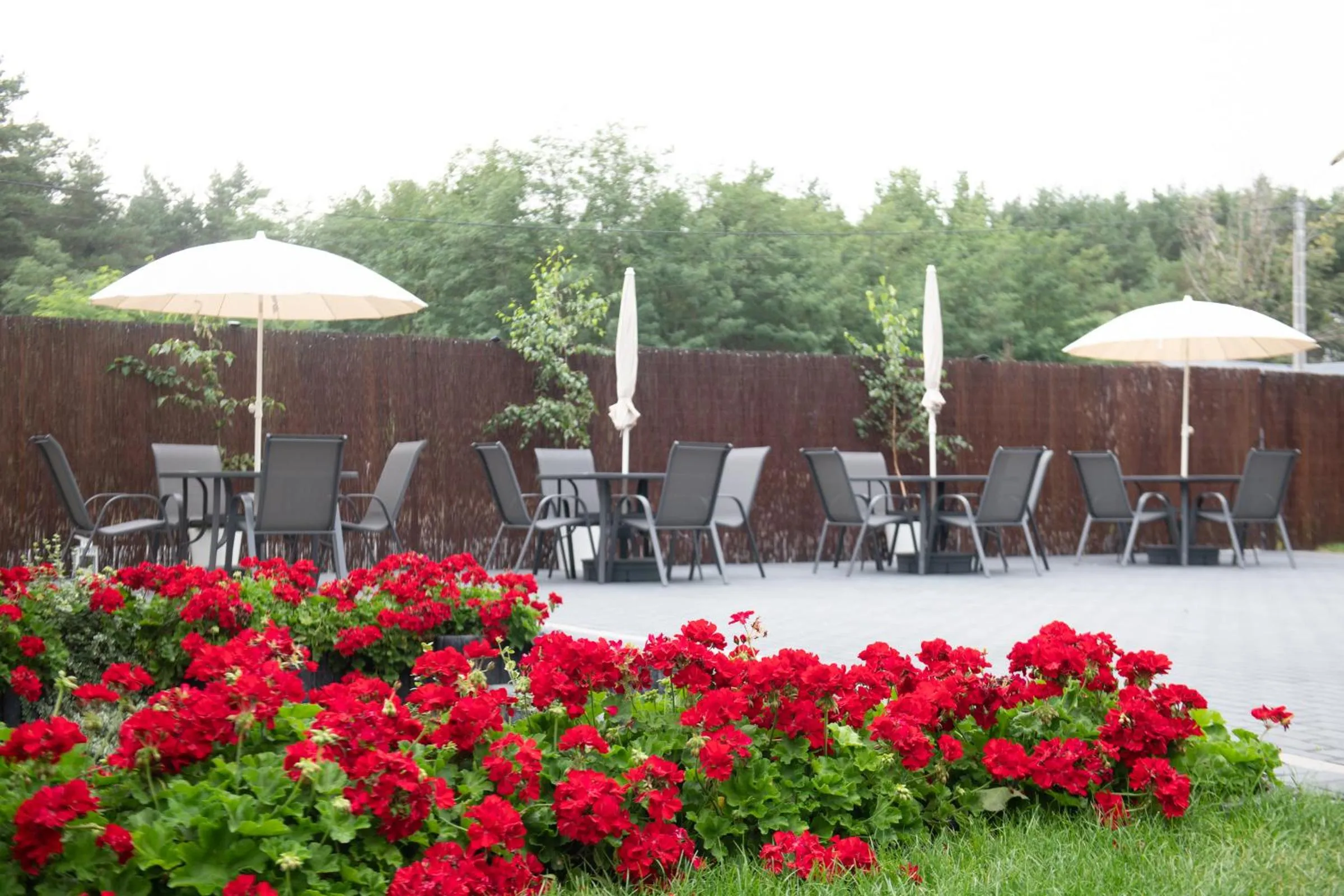 Garden in Lawendowa Przystań