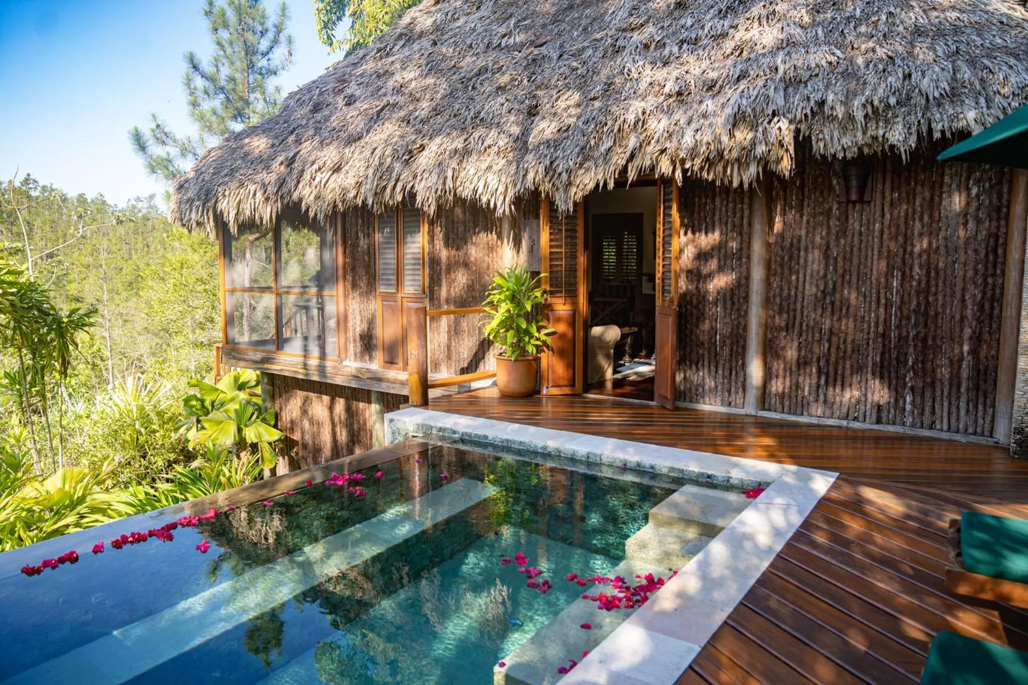 Natural landscape in Blancaneaux Lodge by Francis Ford Coppola