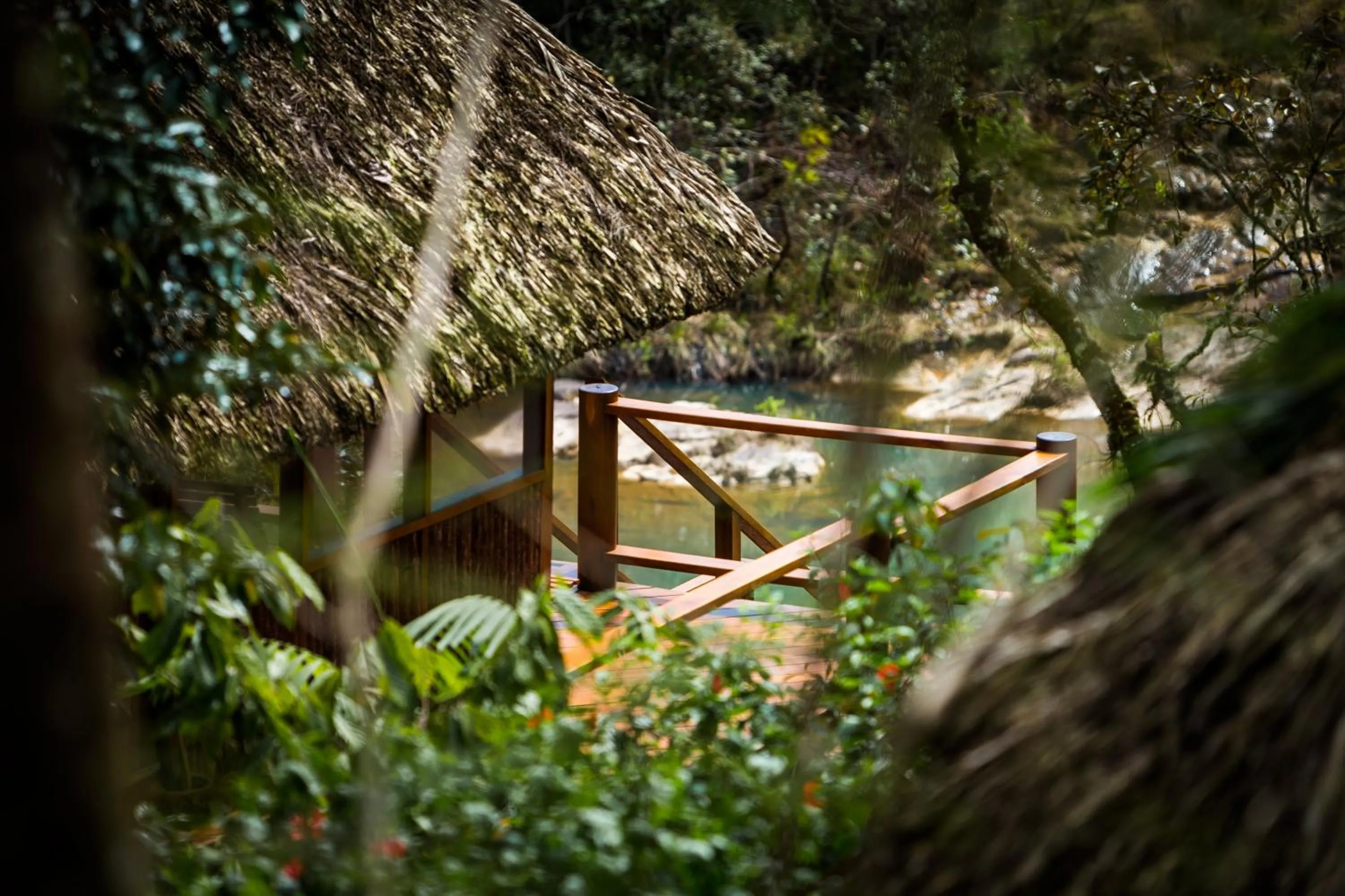 Natural landscape in Blancaneaux Lodge by Francis Ford Coppola