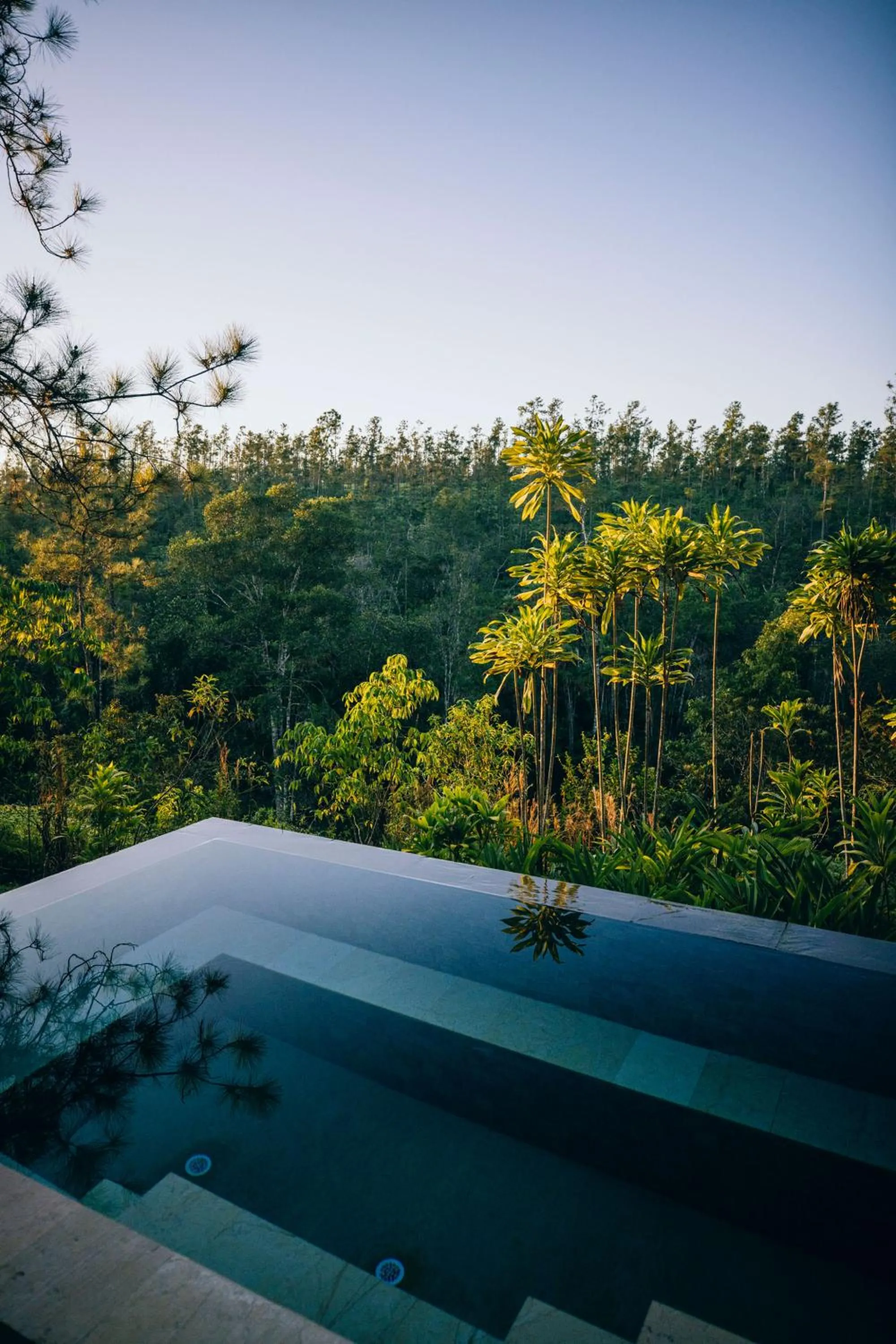 Natural landscape in Blancaneaux Lodge by Francis Ford Coppola