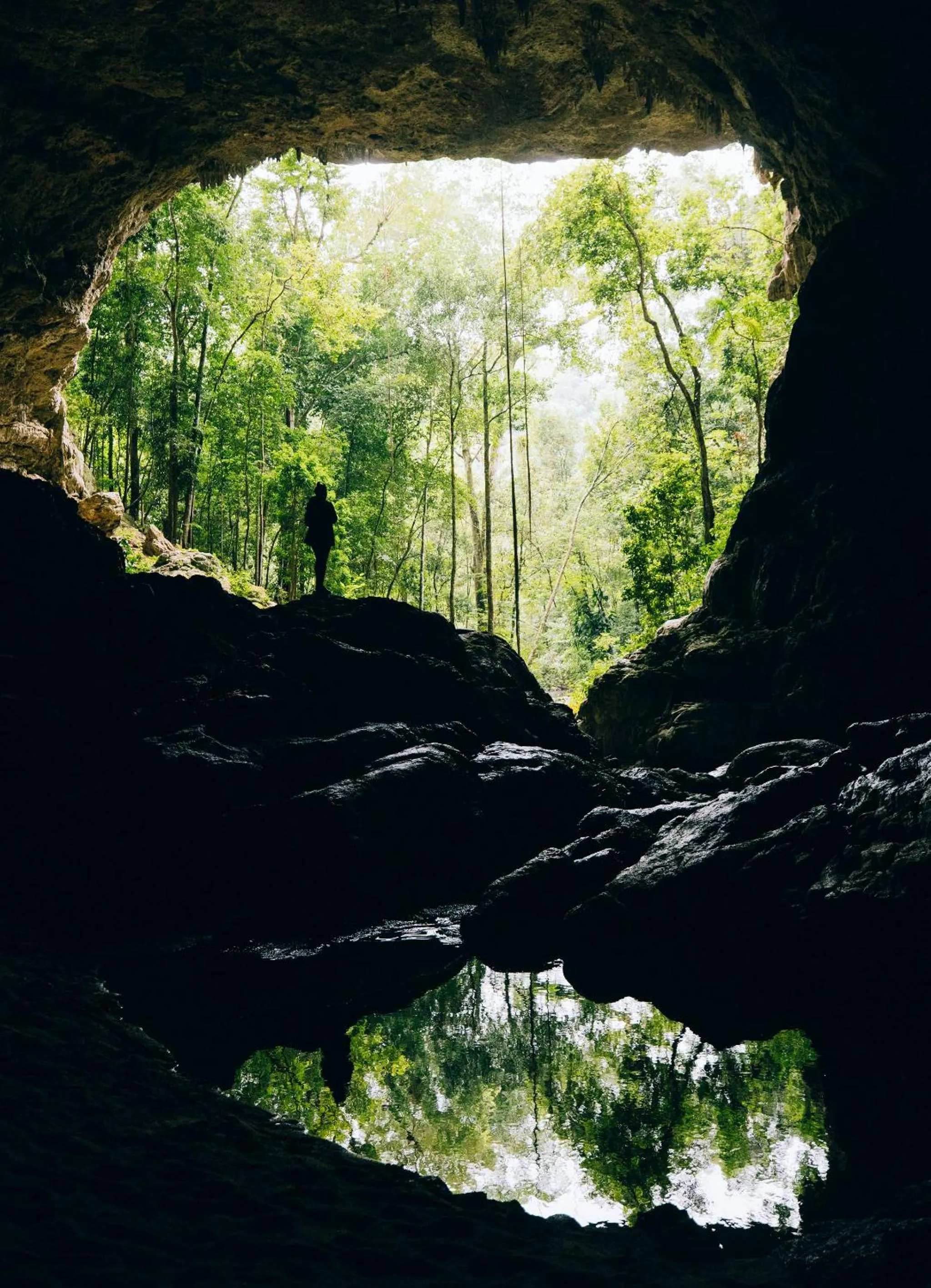 Natural landscape in Blancaneaux Lodge by Francis Ford Coppola