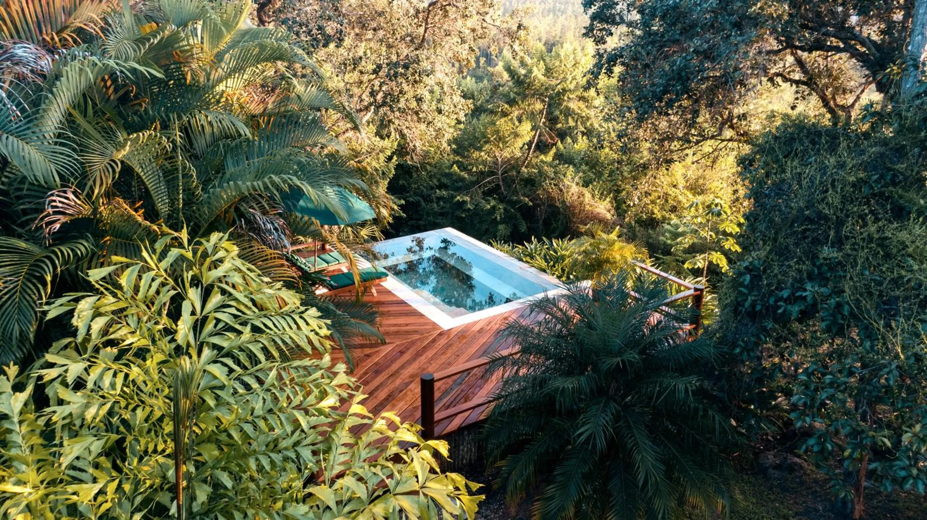 Natural landscape in Blancaneaux Lodge by Francis Ford Coppola