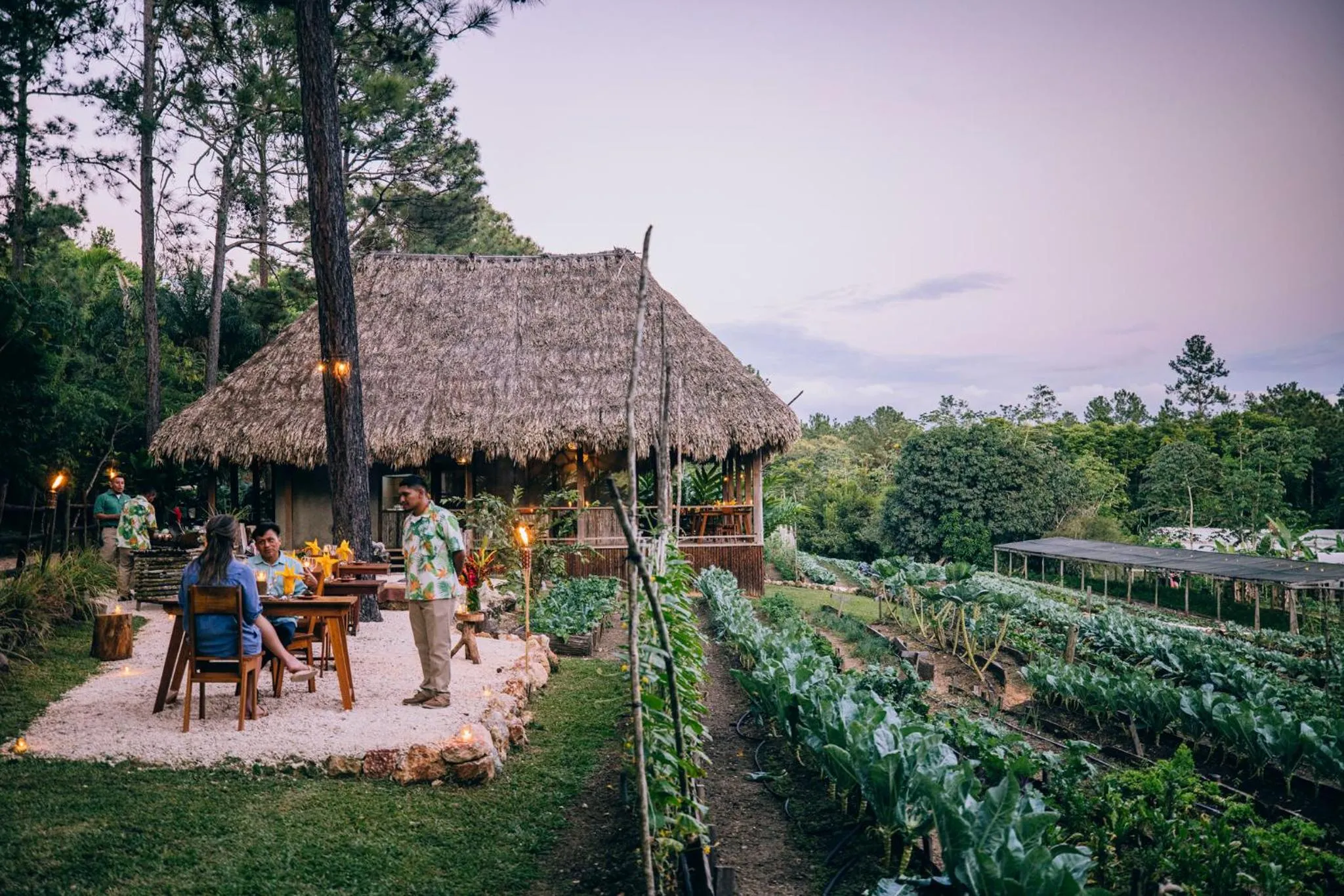 Restaurant/places to eat in Blancaneaux Lodge by Francis Ford Coppola