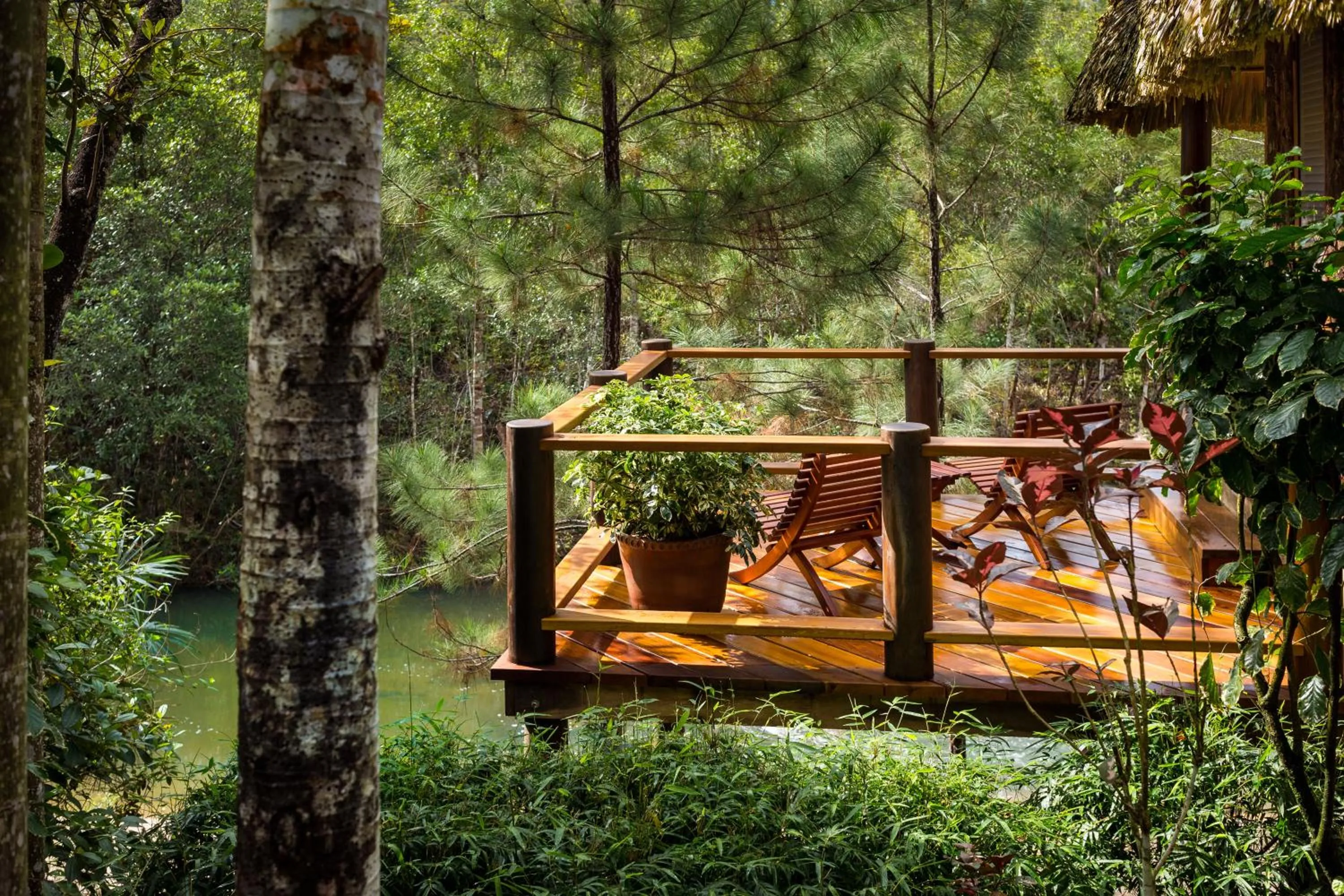 Natural landscape in Blancaneaux Lodge by Francis Ford Coppola