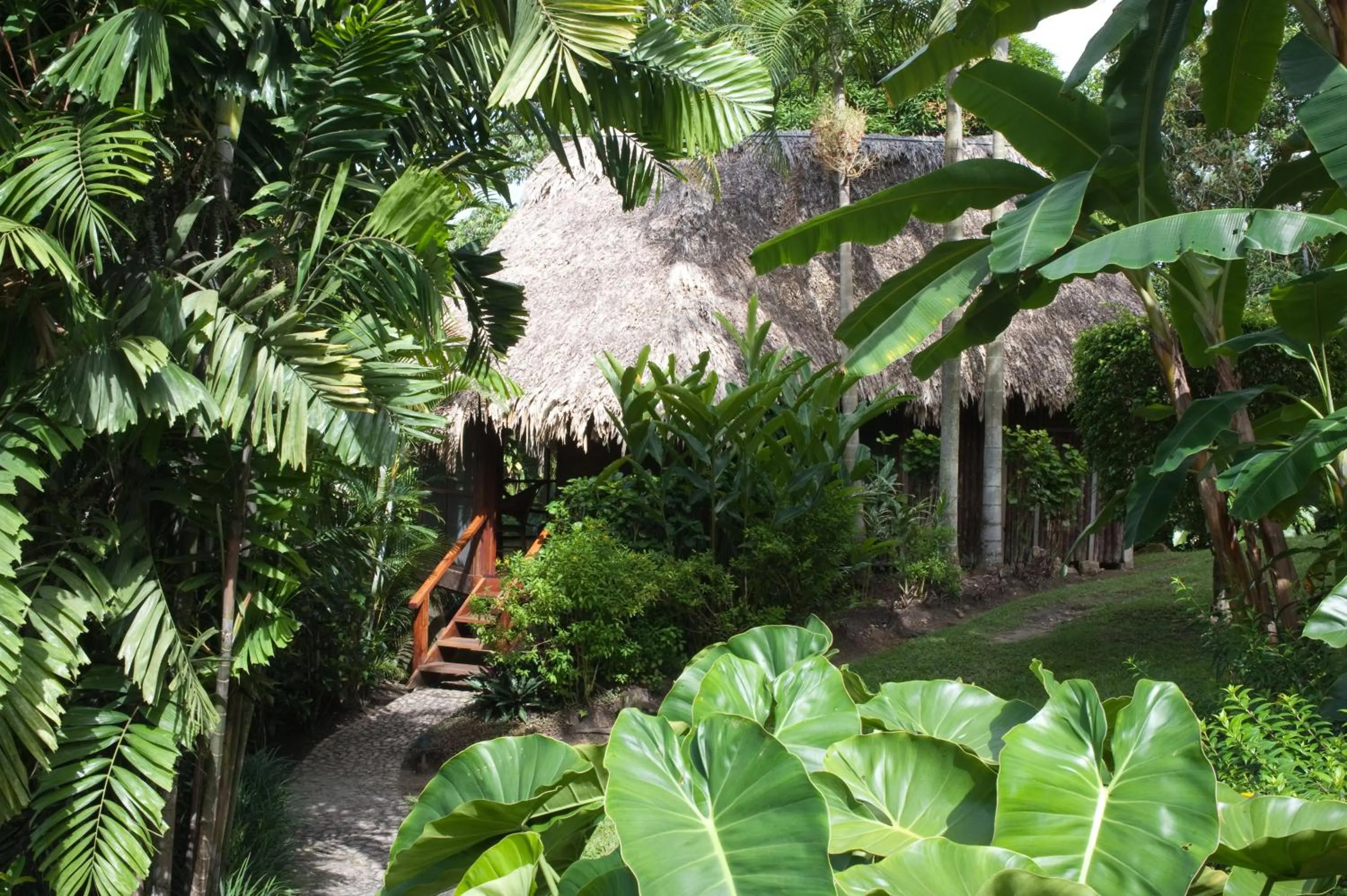 Garden view in Blancaneaux Lodge by Francis Ford Coppola