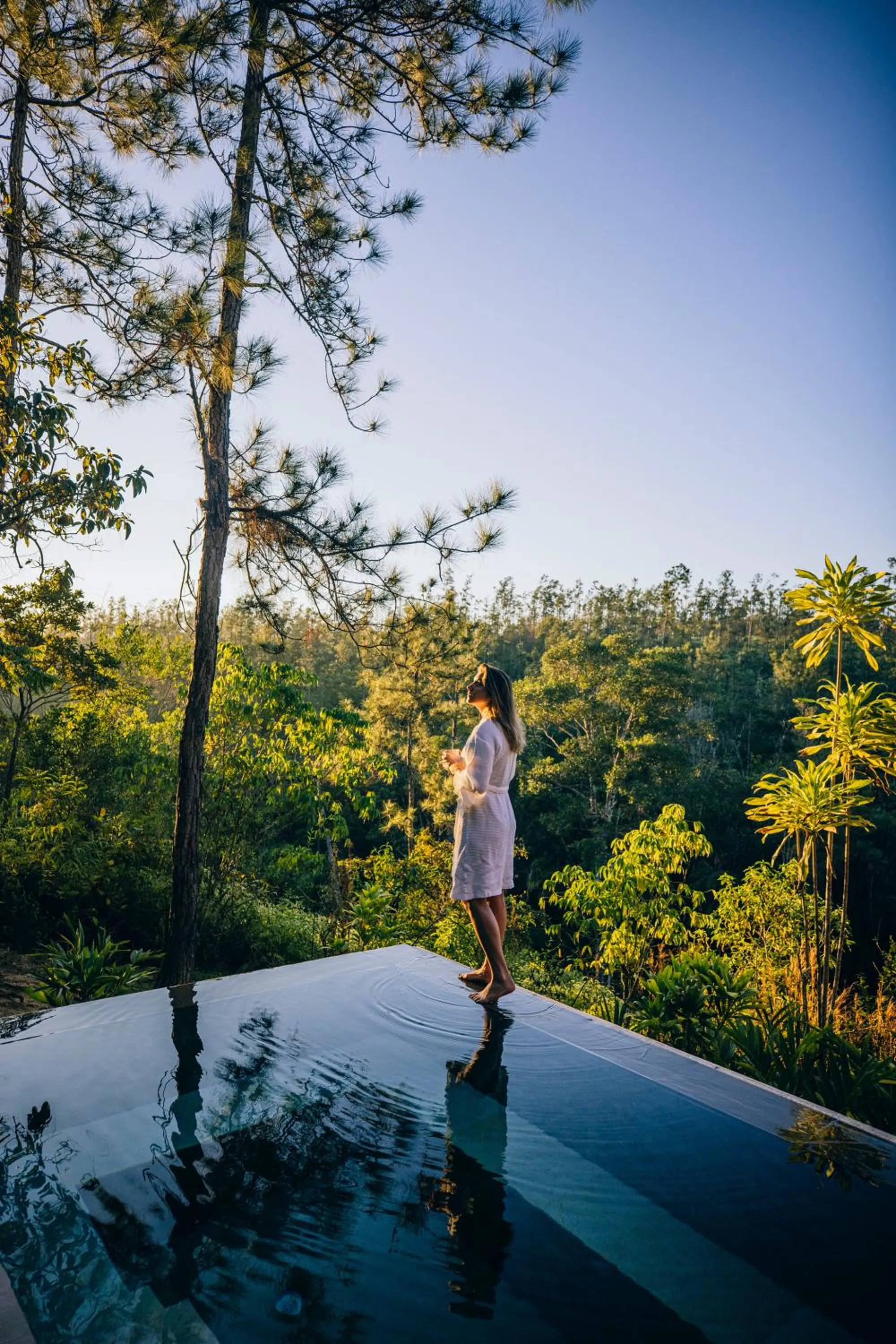 Natural landscape in Blancaneaux Lodge by Francis Ford Coppola
