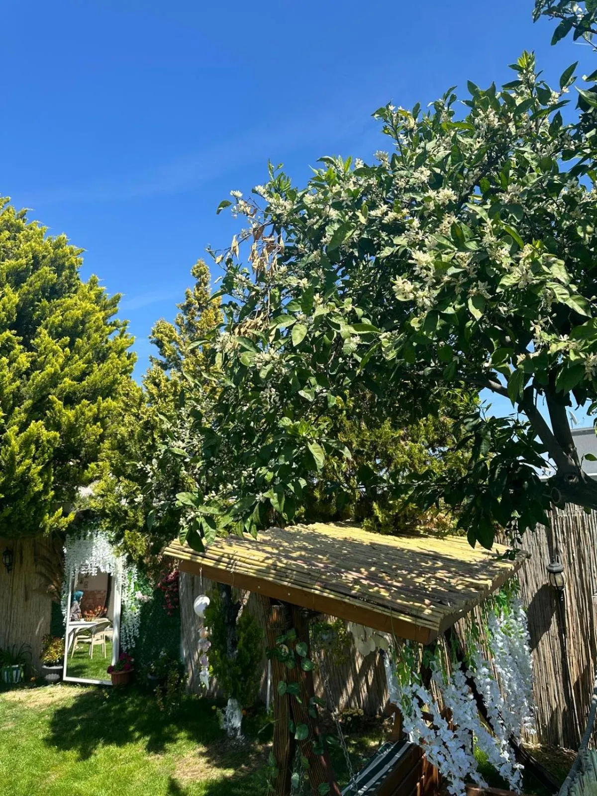 Property building in Bonjourla Otel