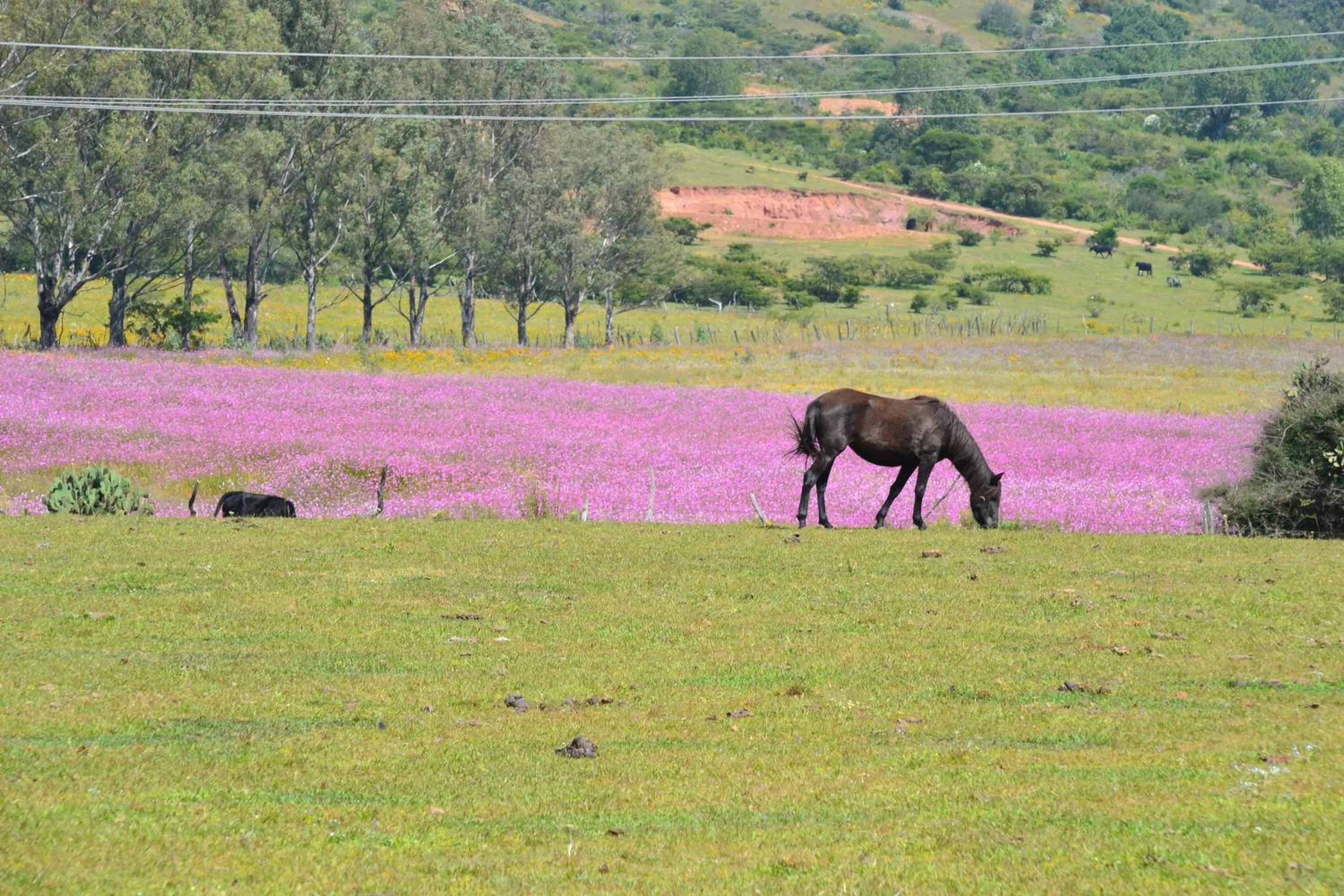 Activities in Hotel La Casona