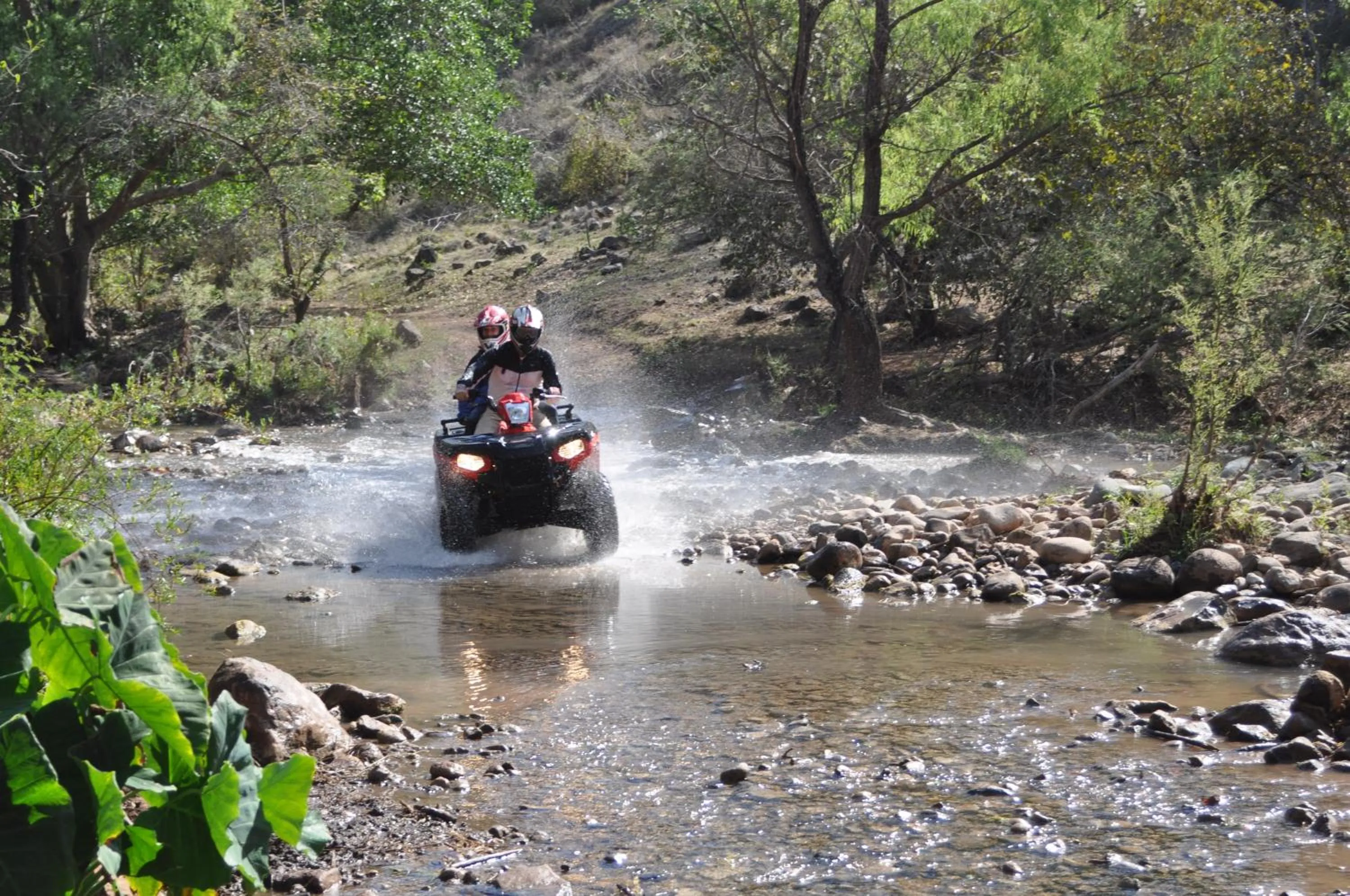 Sports in Hotel La Casona