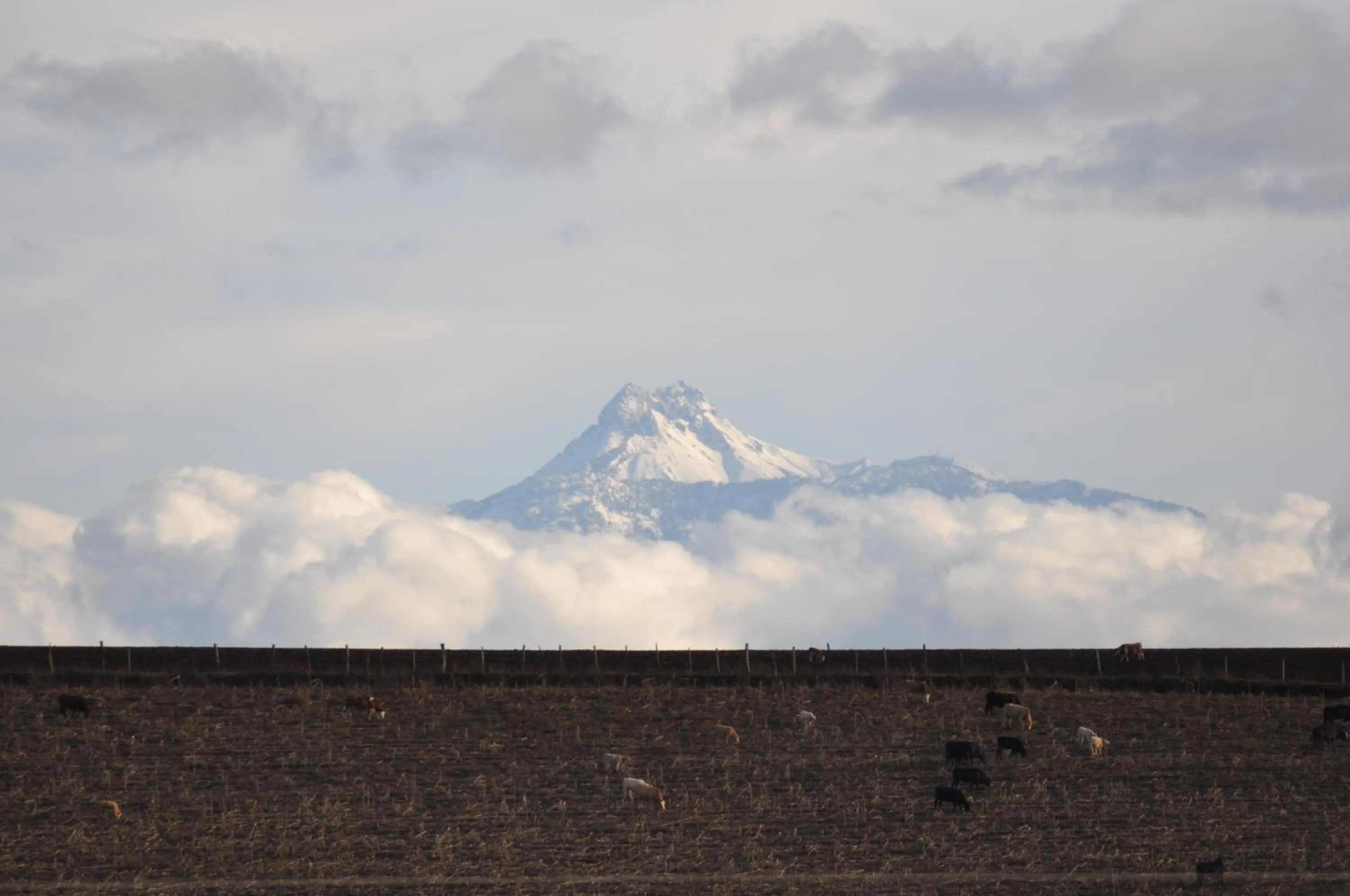 Off site in Hotel La Casona