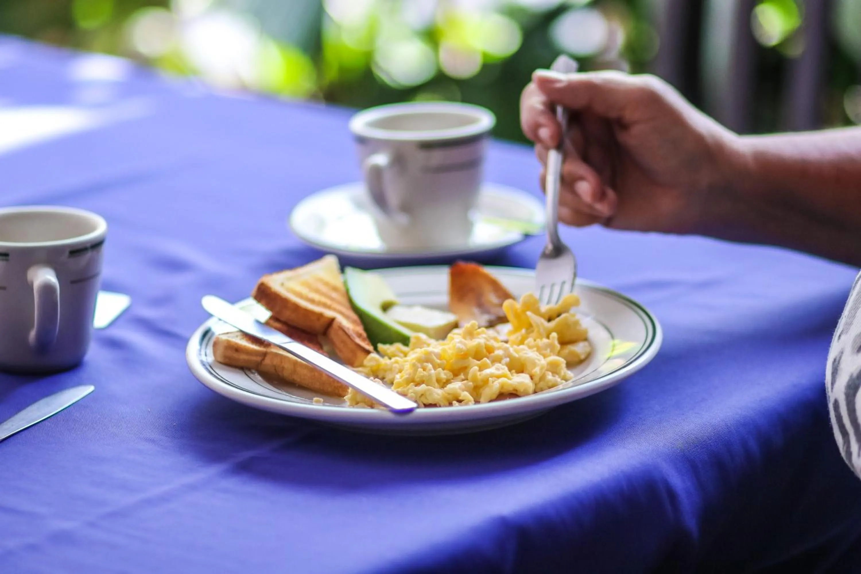 Breakfast in Hotel Flor Blanca