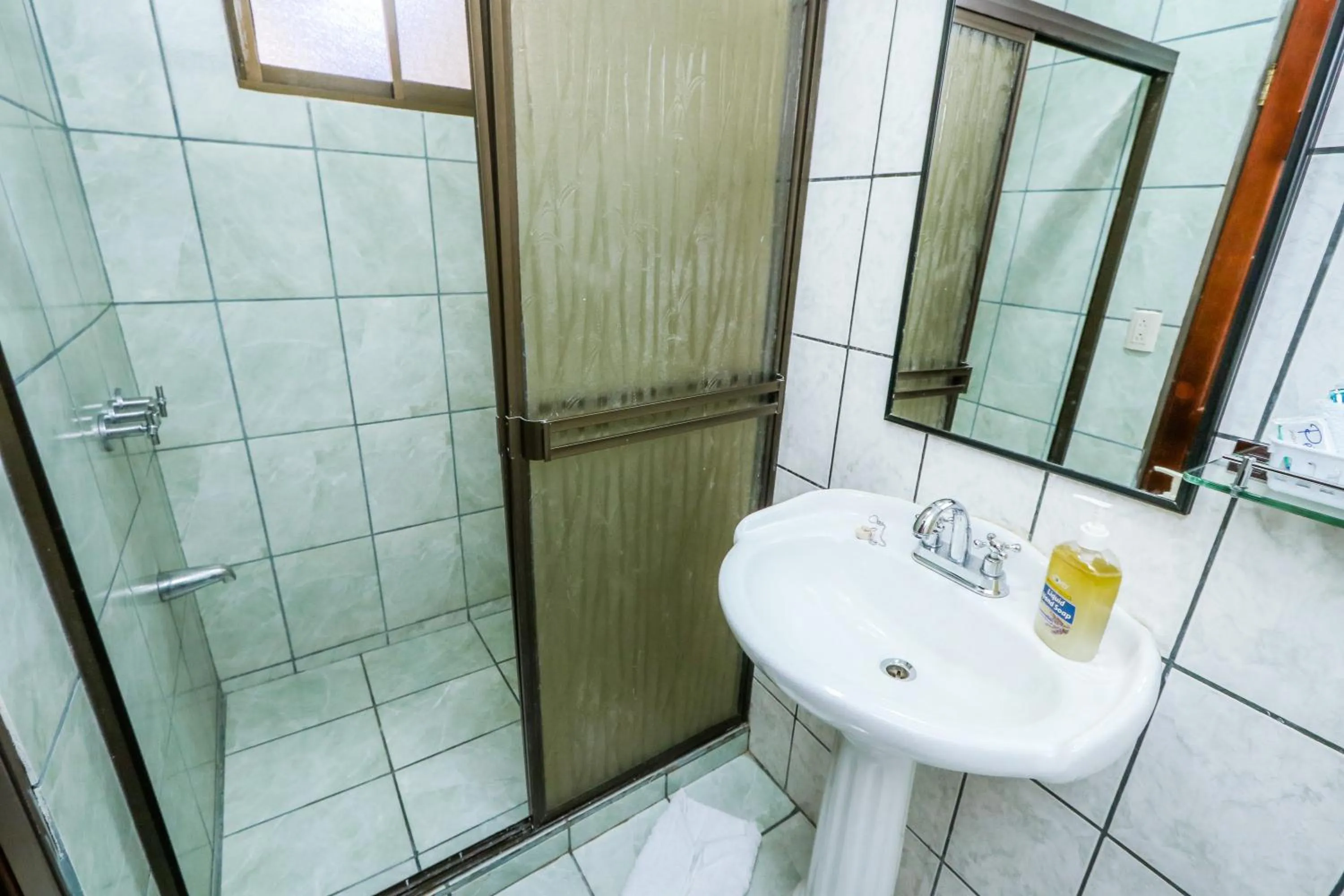 Shower in Hotel Flor Blanca