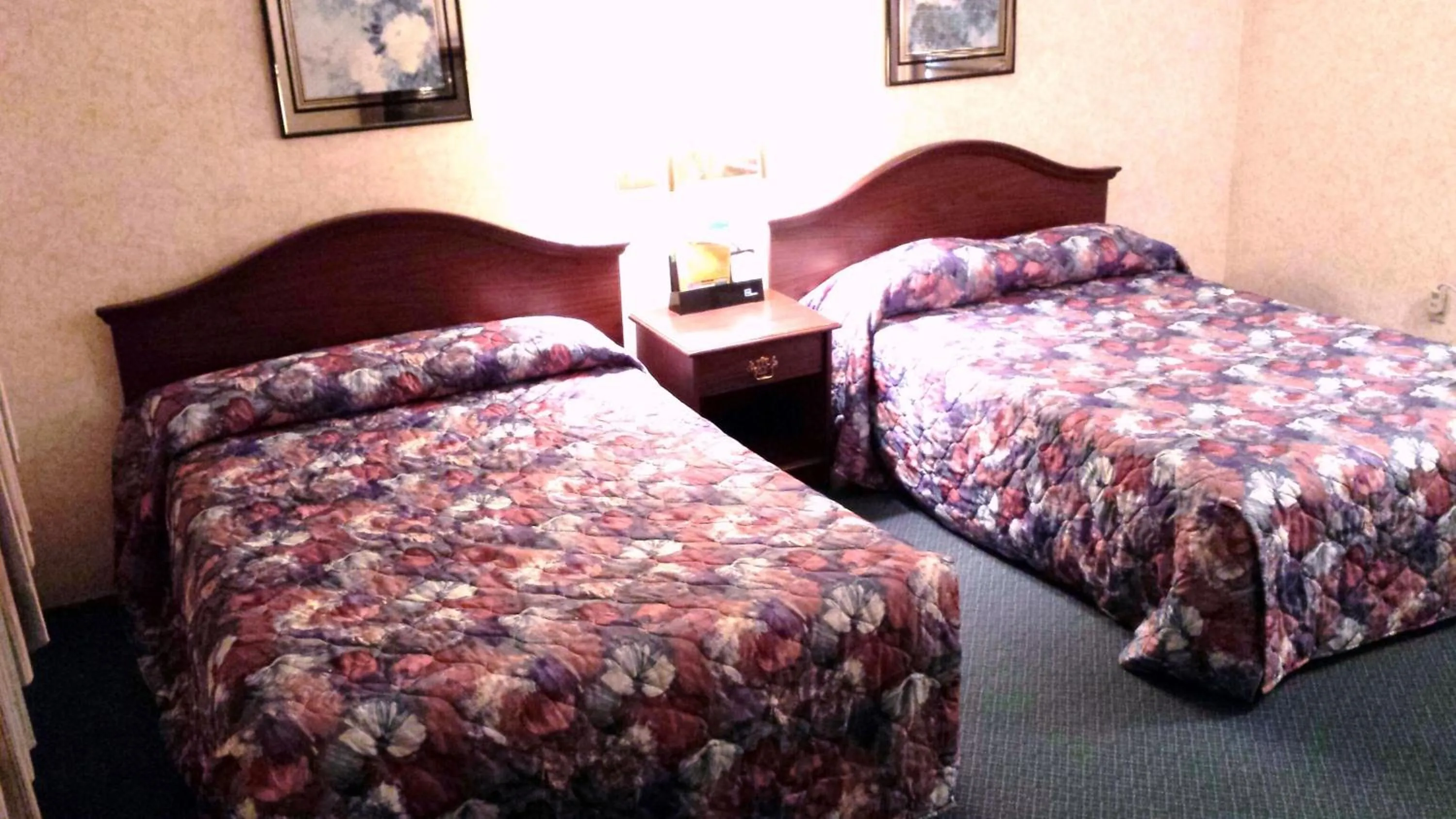 Photo of the whole room, Bed in Budget Host Inn