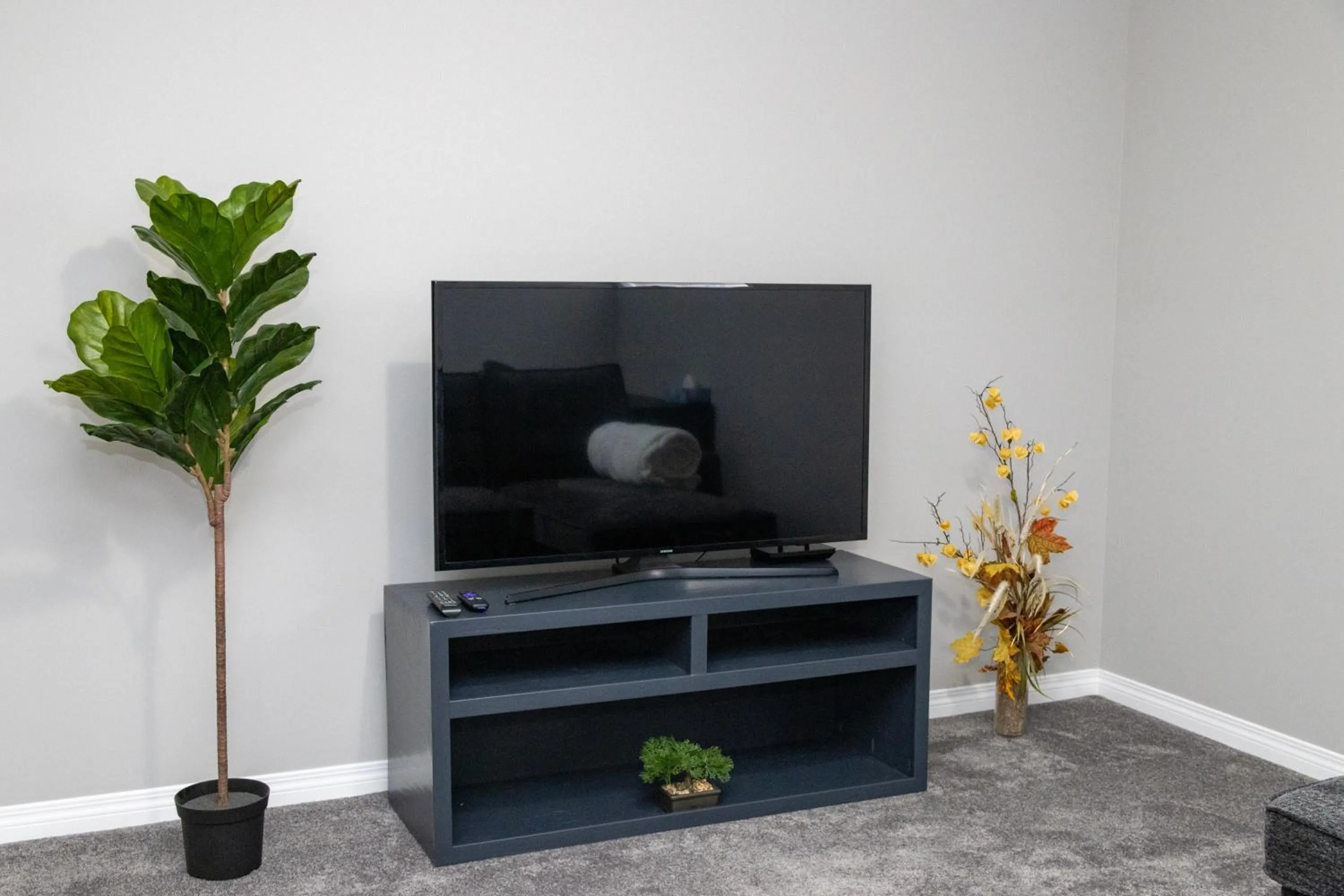 TV and multimedia in The Jade Place