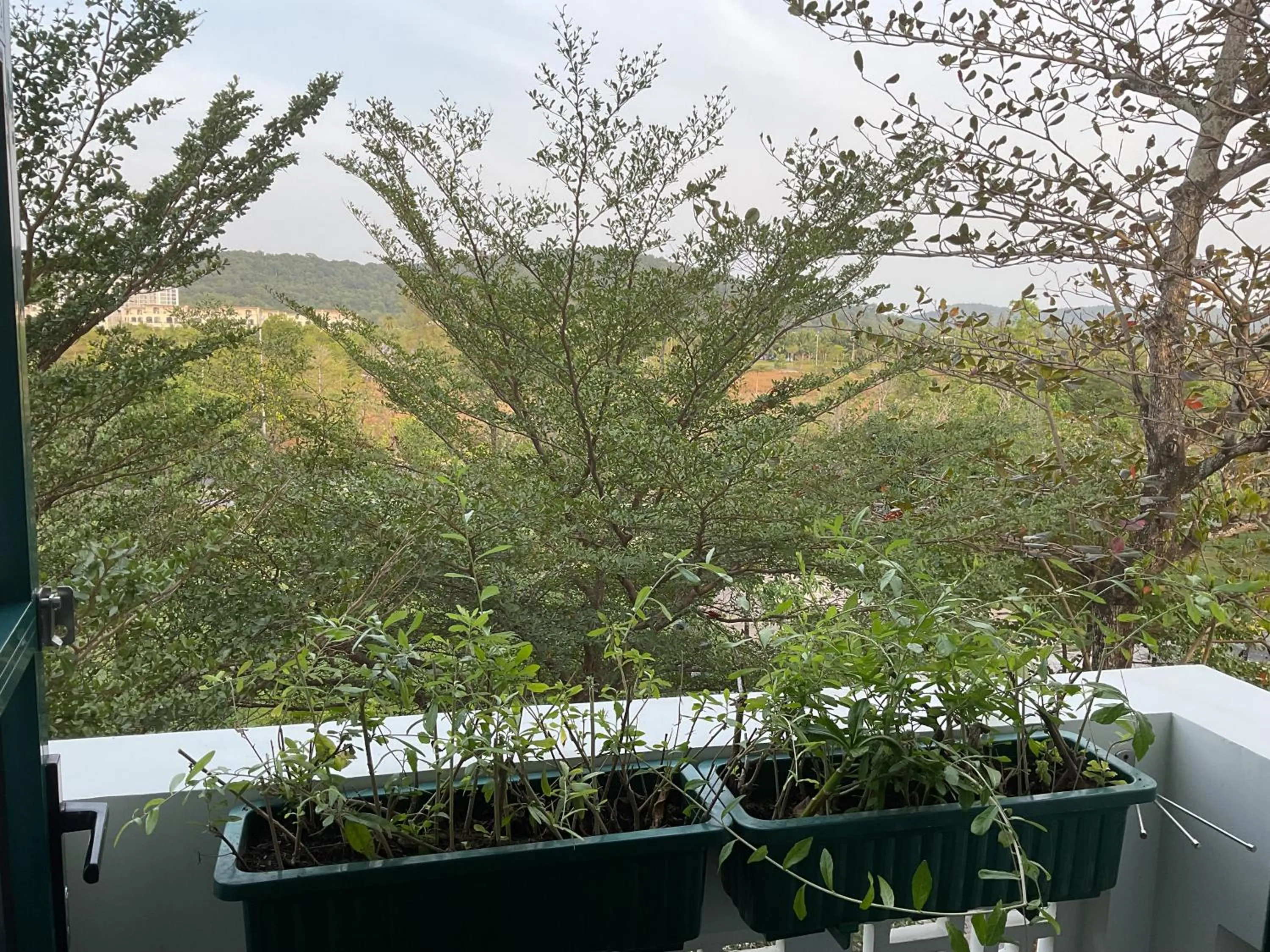 Property building in Green Inn Phu Quoc Hotel