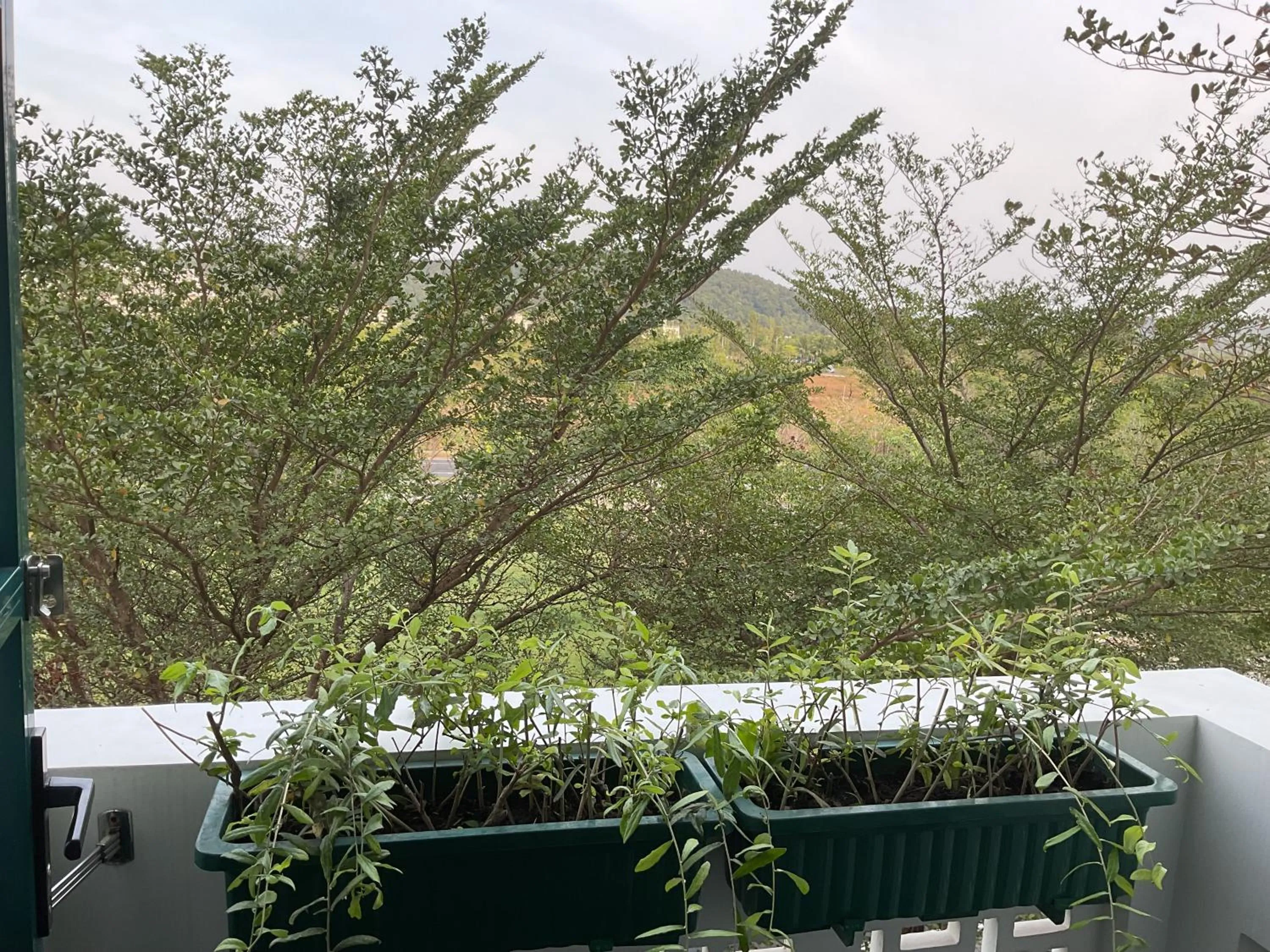 Property building in Green Inn Phu Quoc Hotel