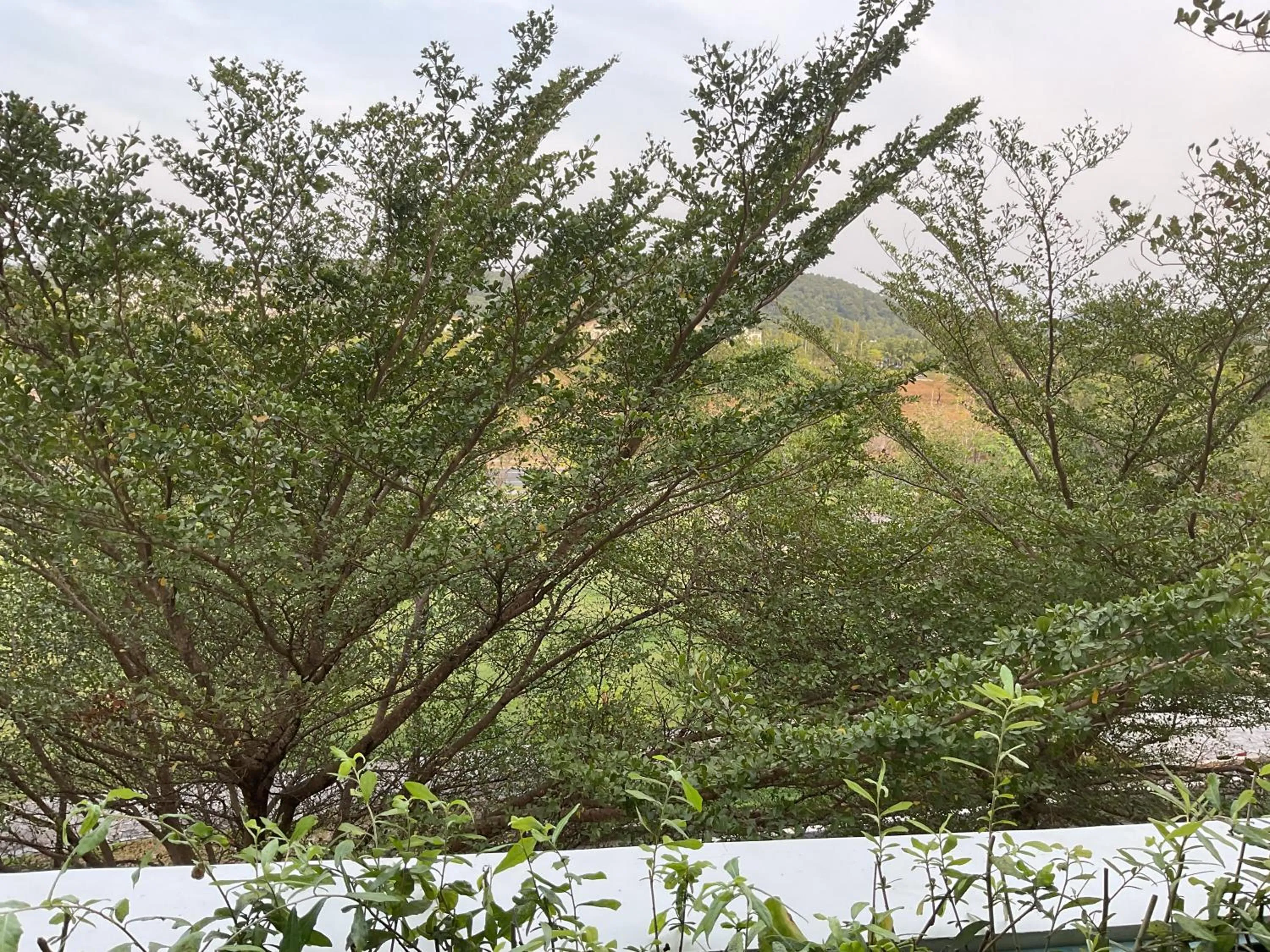 Property building in Green Inn Phu Quoc Hotel