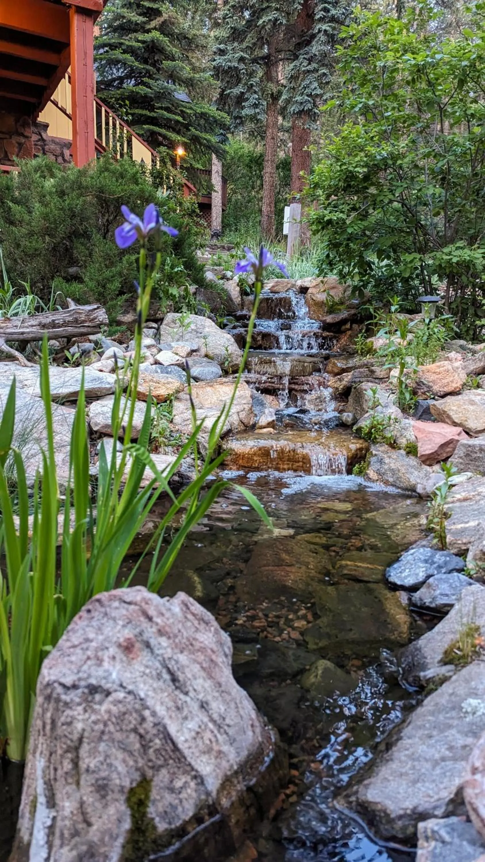 Garden view in Alpen Way Chalet Mountain Lodge