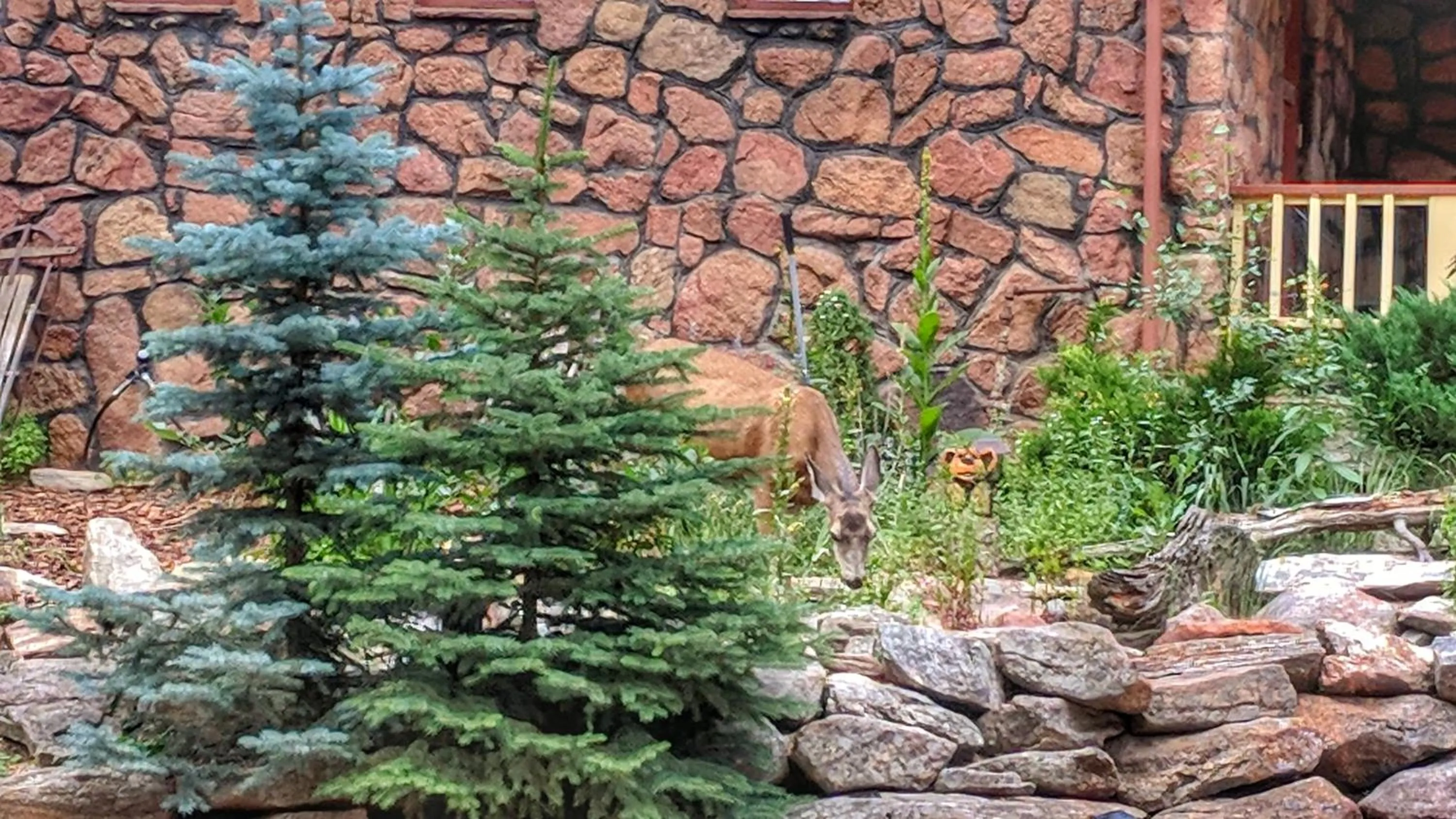 Natural landscape in Alpen Way Chalet Mountain Lodge