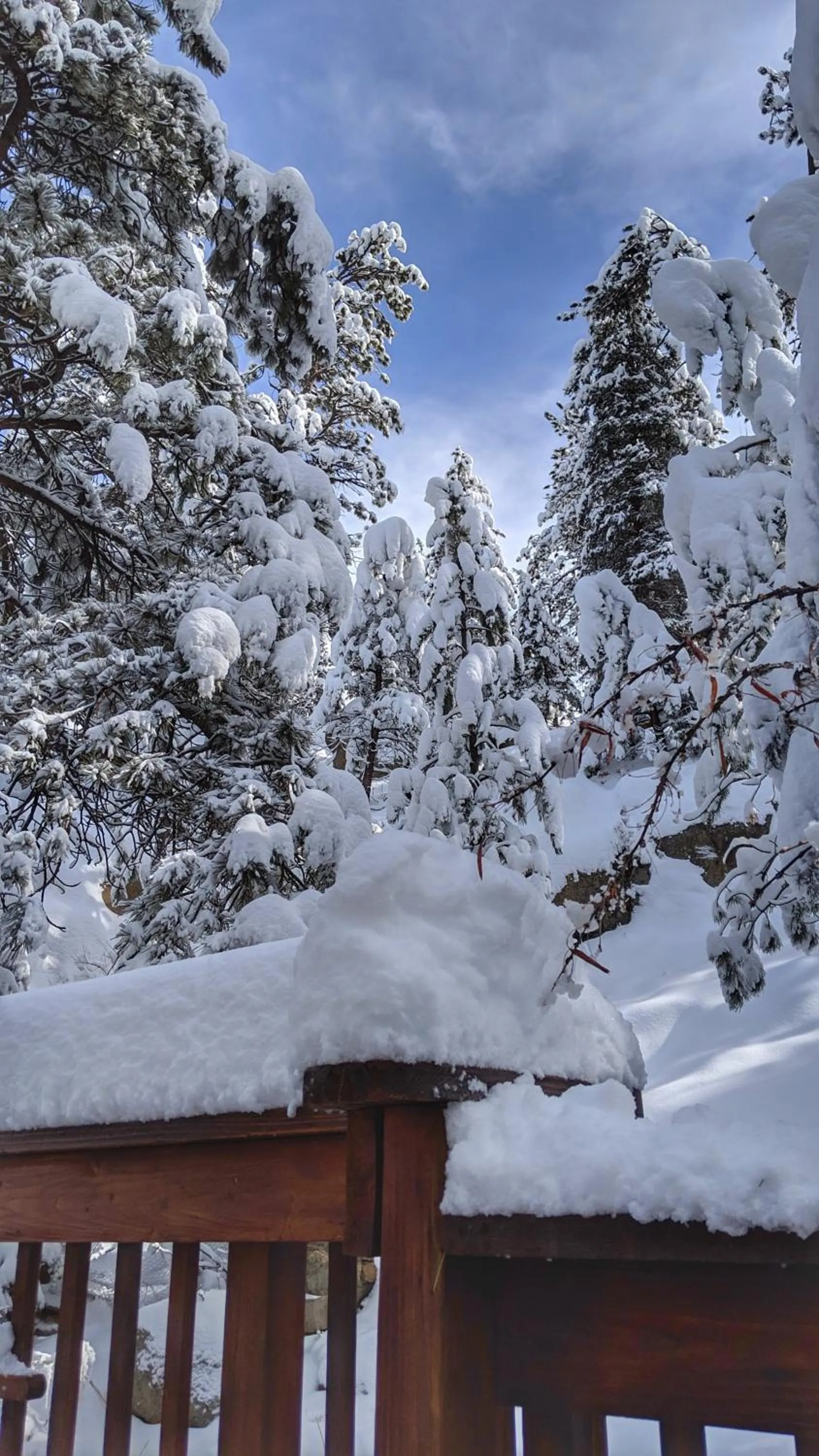 Winter in Alpen Way Chalet Mountain Lodge