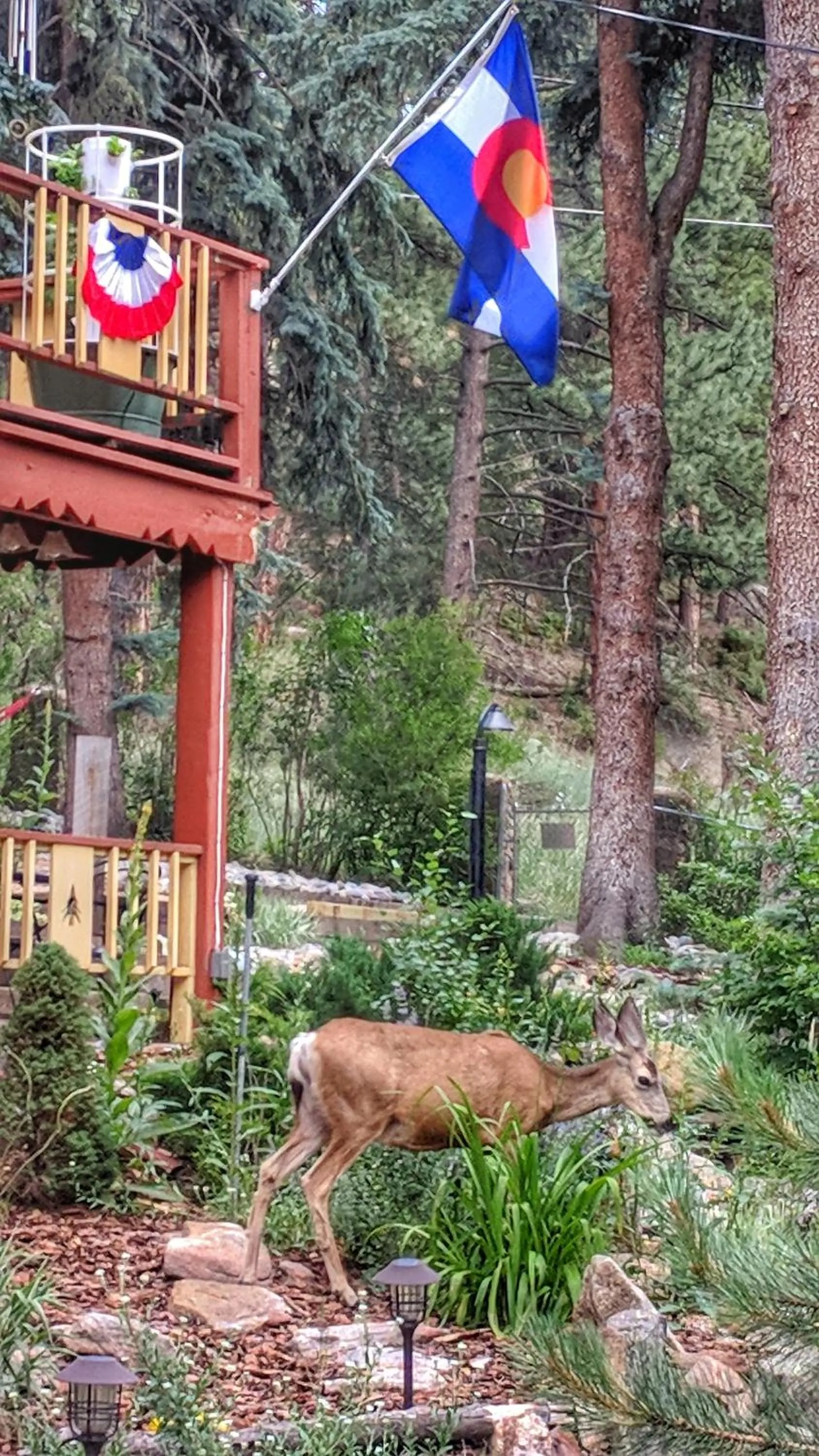 Animals in Alpen Way Chalet Mountain Lodge