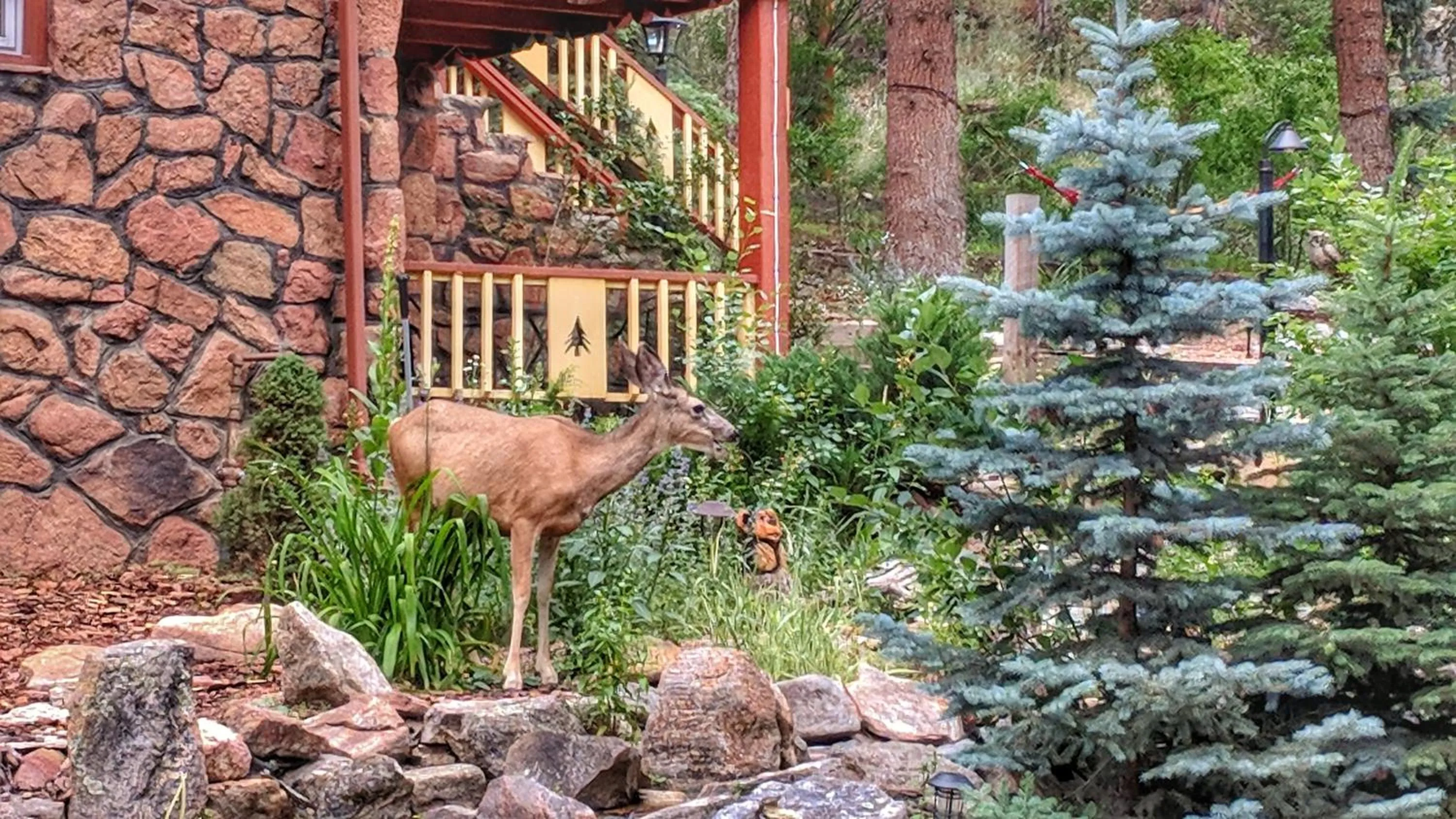 Patio in Alpen Way Chalet Mountain Lodge