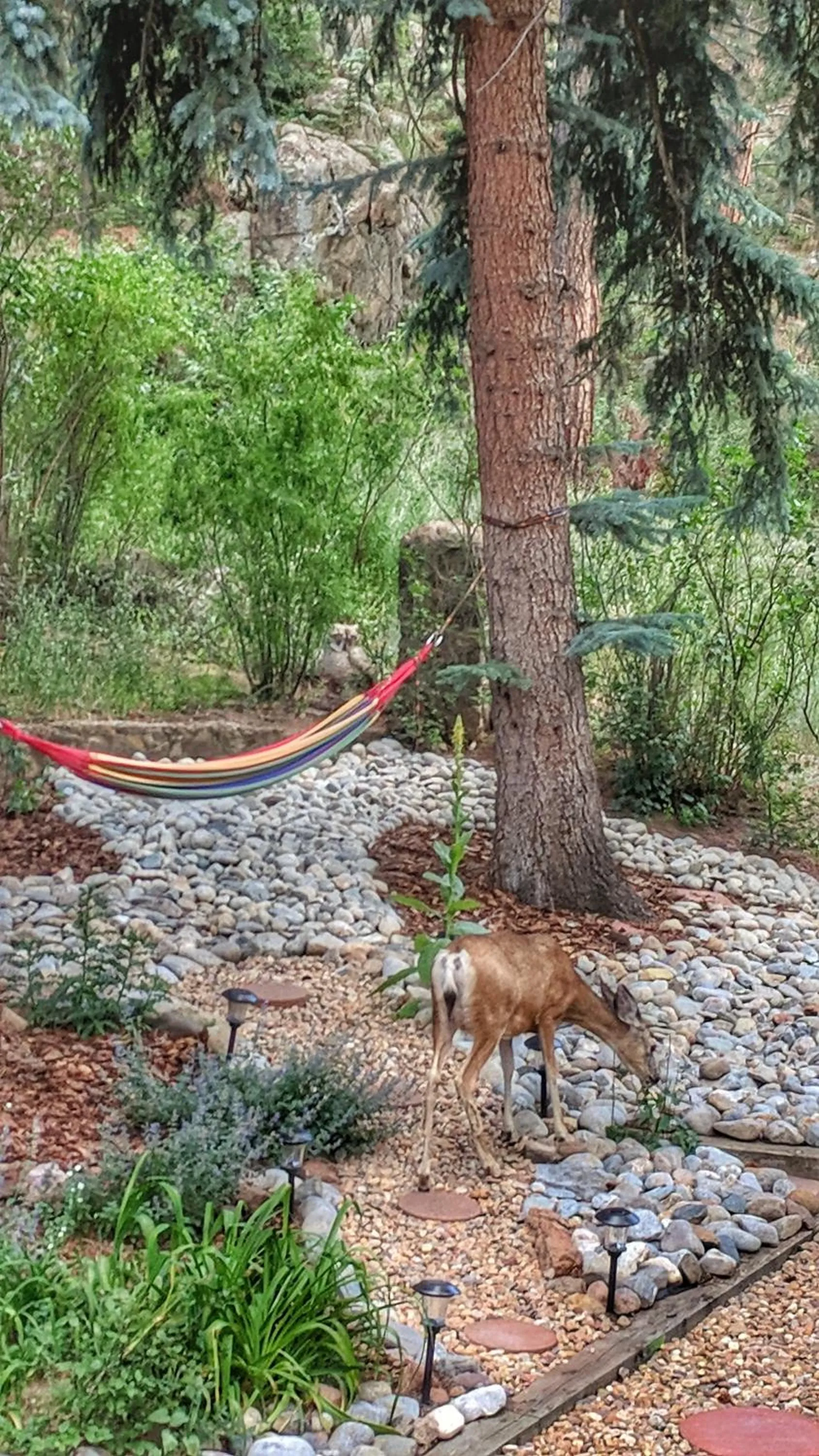 Natural landscape in Alpen Way Chalet Mountain Lodge