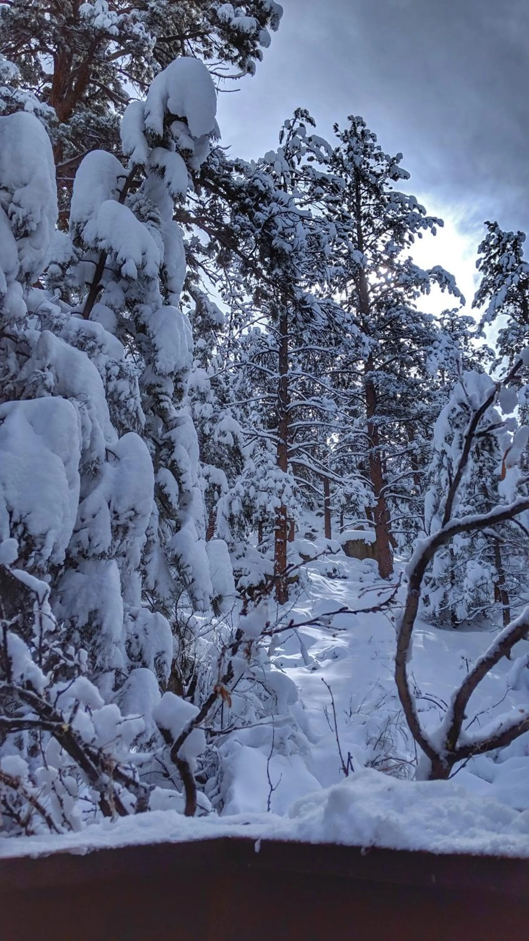 Winter in Alpen Way Chalet Mountain Lodge