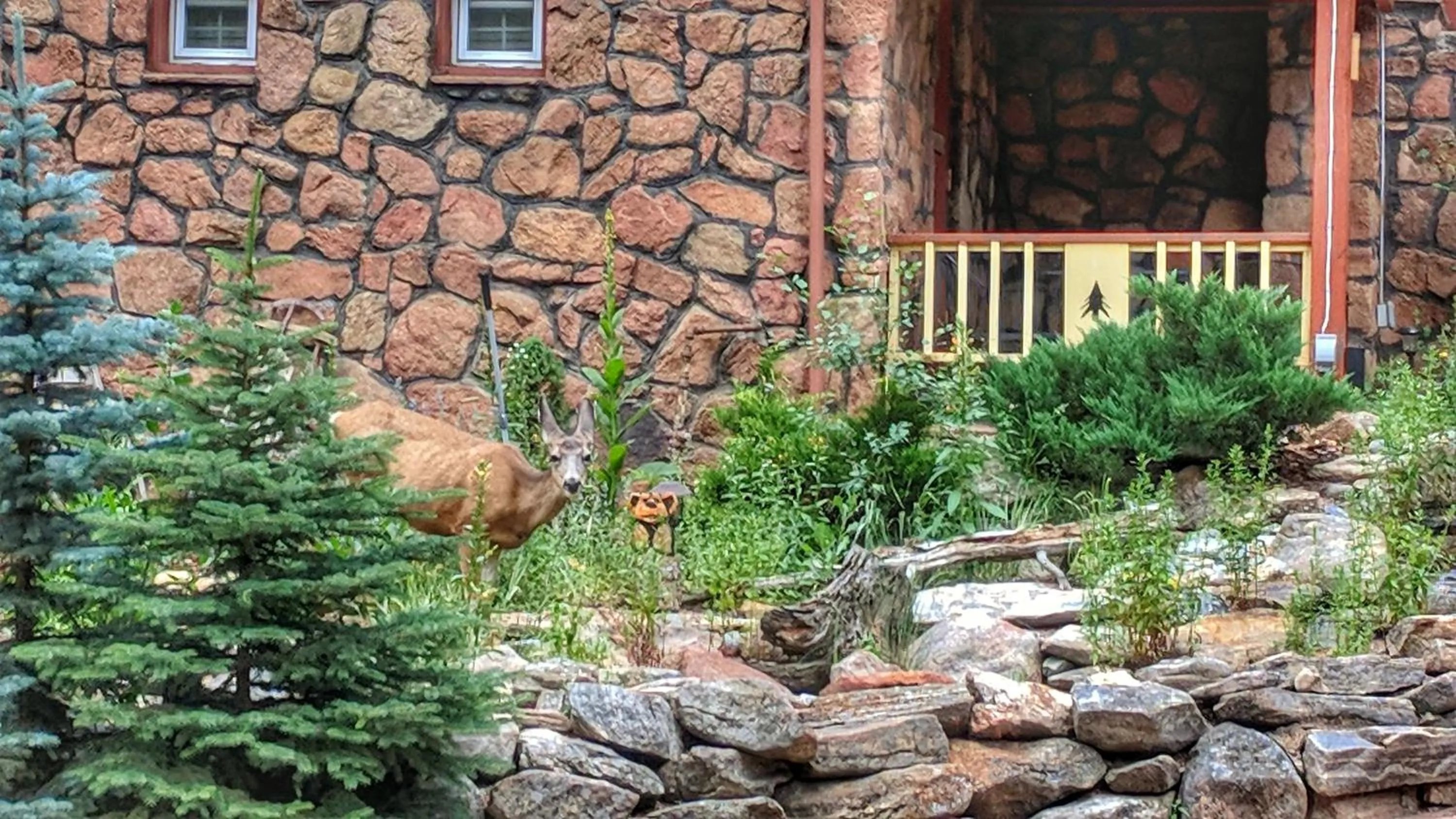 Patio in Alpen Way Chalet Mountain Lodge