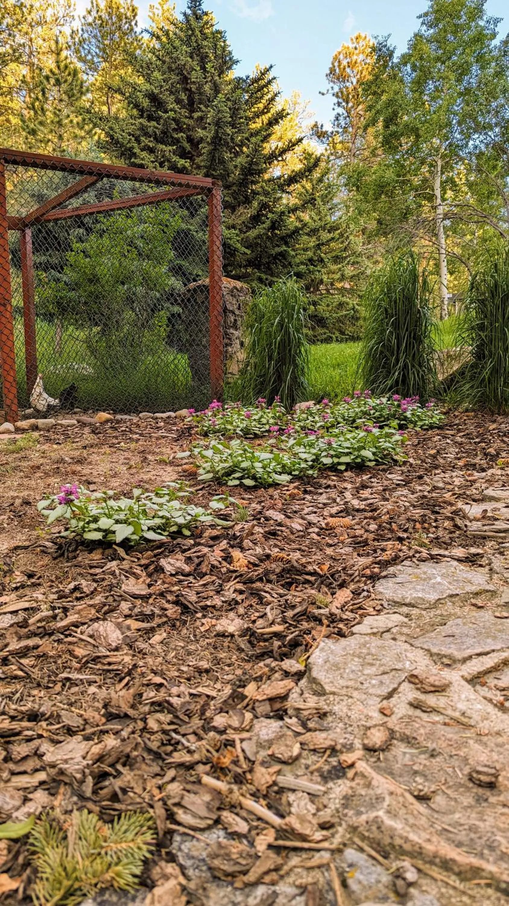 Garden in Alpen Way Chalet Mountain Lodge