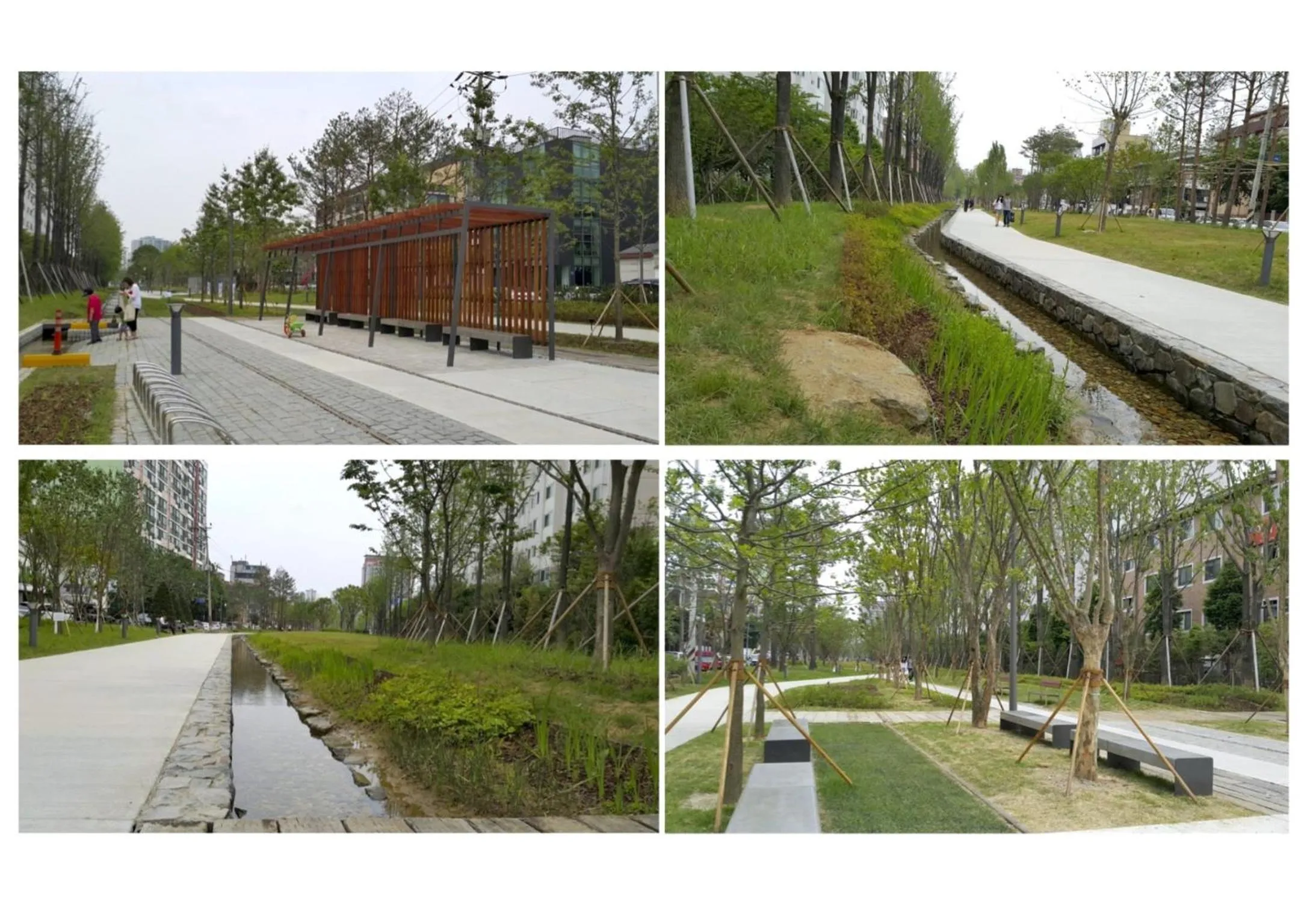 Other in I House Chinchin