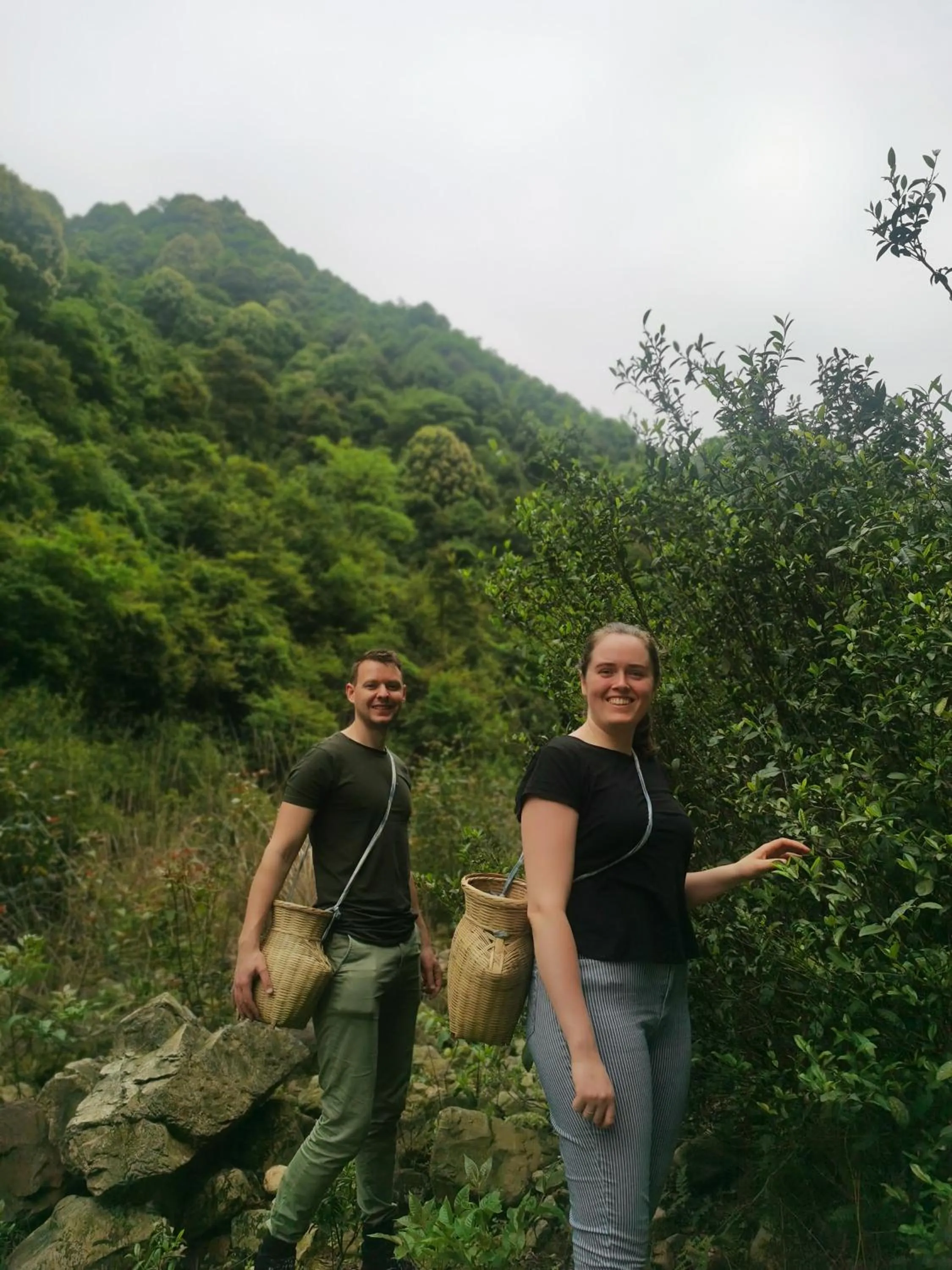 Spring in SecGarden Boutique Hotel