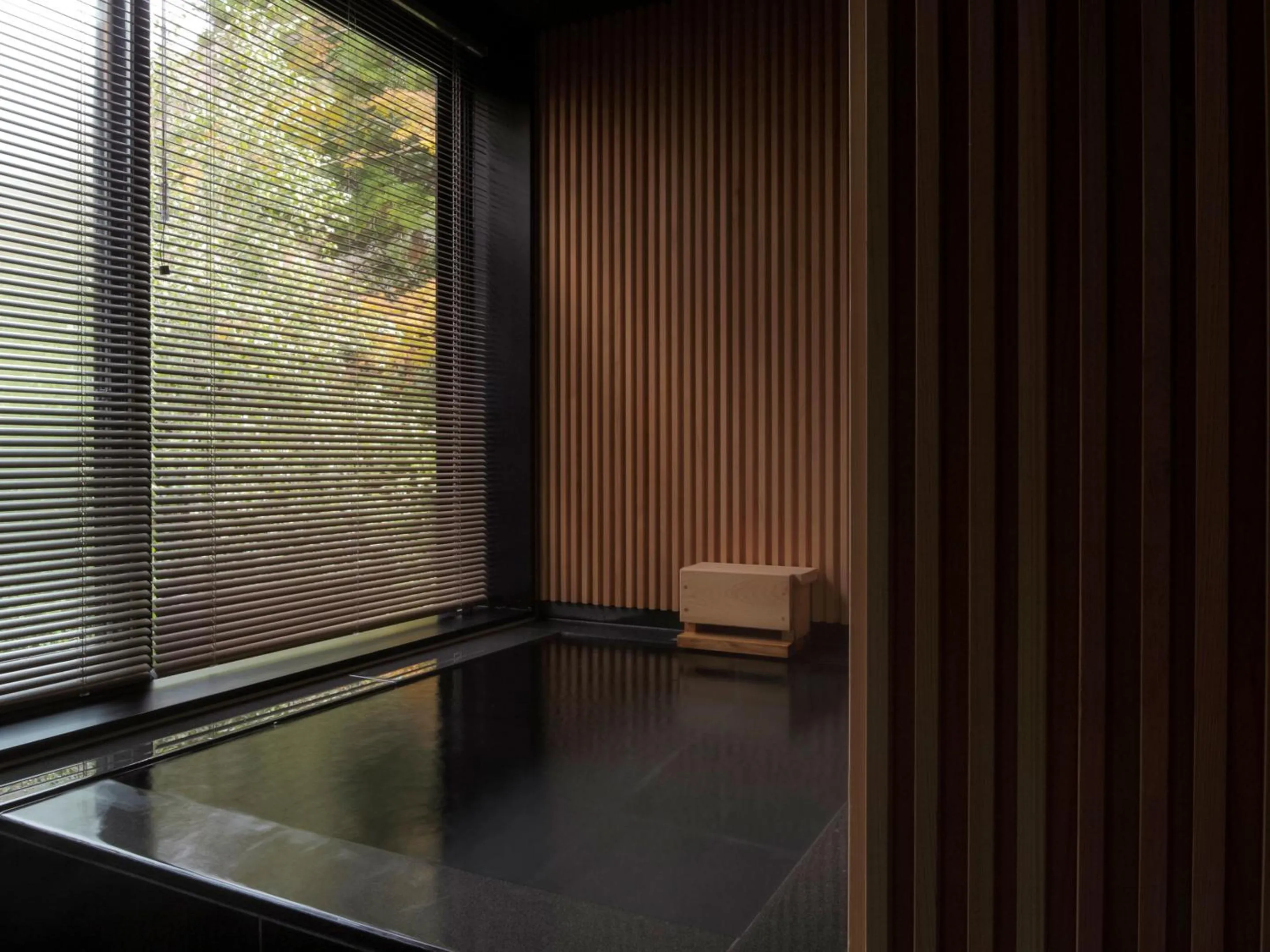 Hot Spring Bath in Boscage Kariya